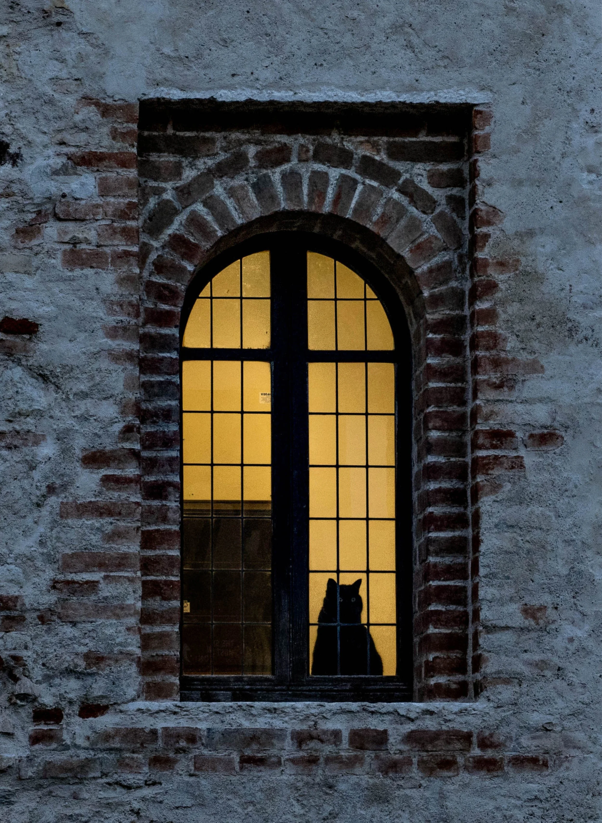 Italy • Sirmione • Cat in the castle window before sunrise • Feb 2, 2024