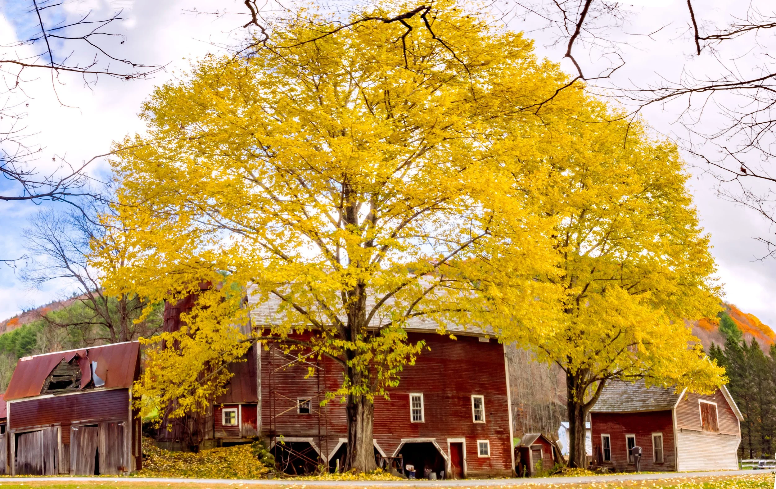 Vermont • Big red barn and outbuildings • Oct 2019