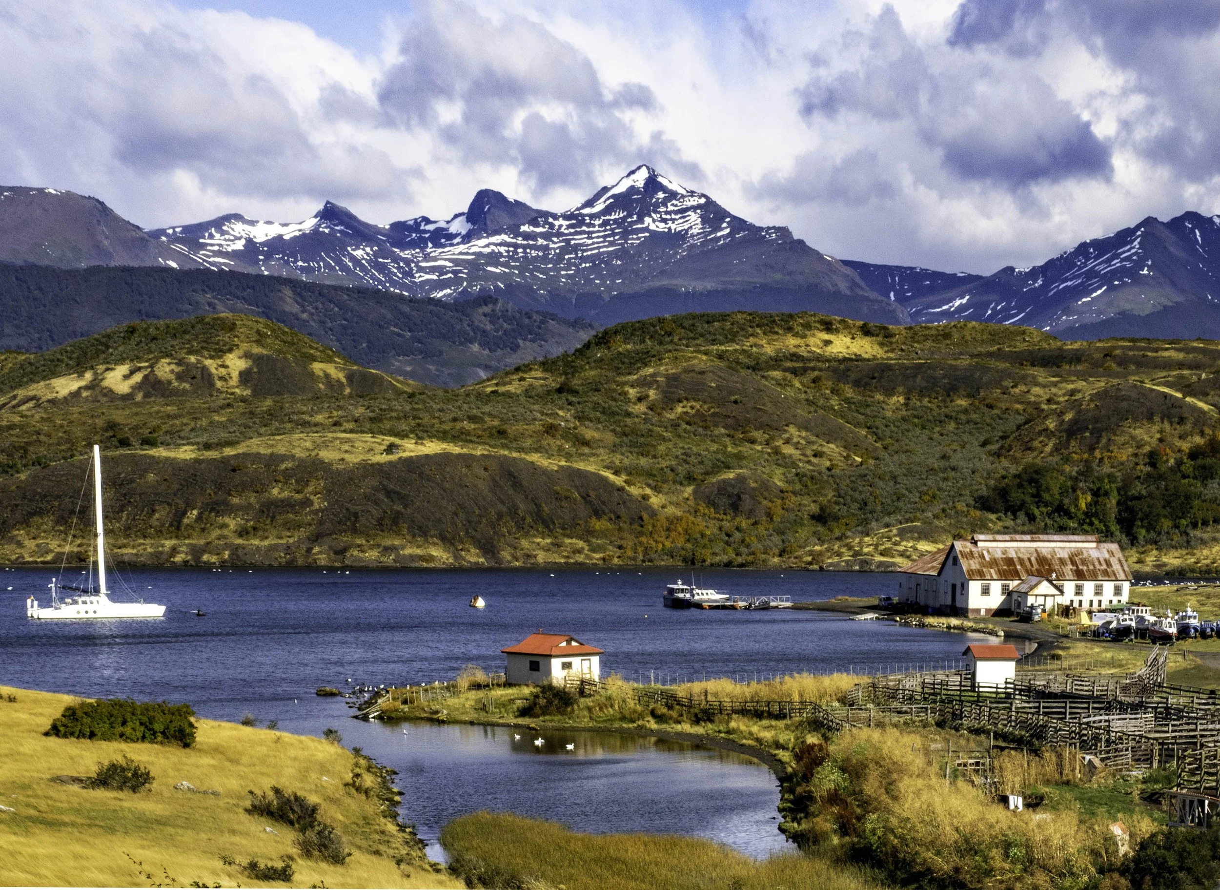 Chile • Torres del Paine • Estancia Eberhardt • Horse and fields, closer view • Mar 27, 2024