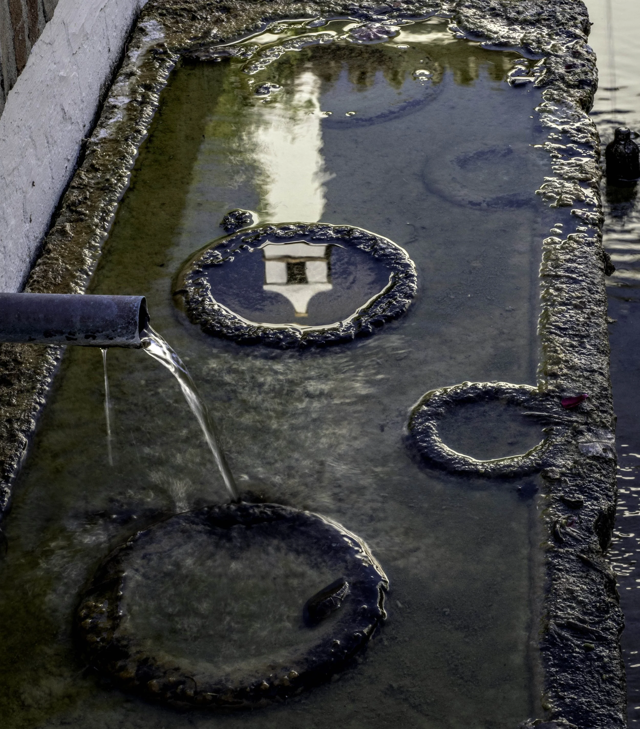 Spain • Arcos de la Frontera • Trough and hacienda tower reflection • Jul 3, 2024