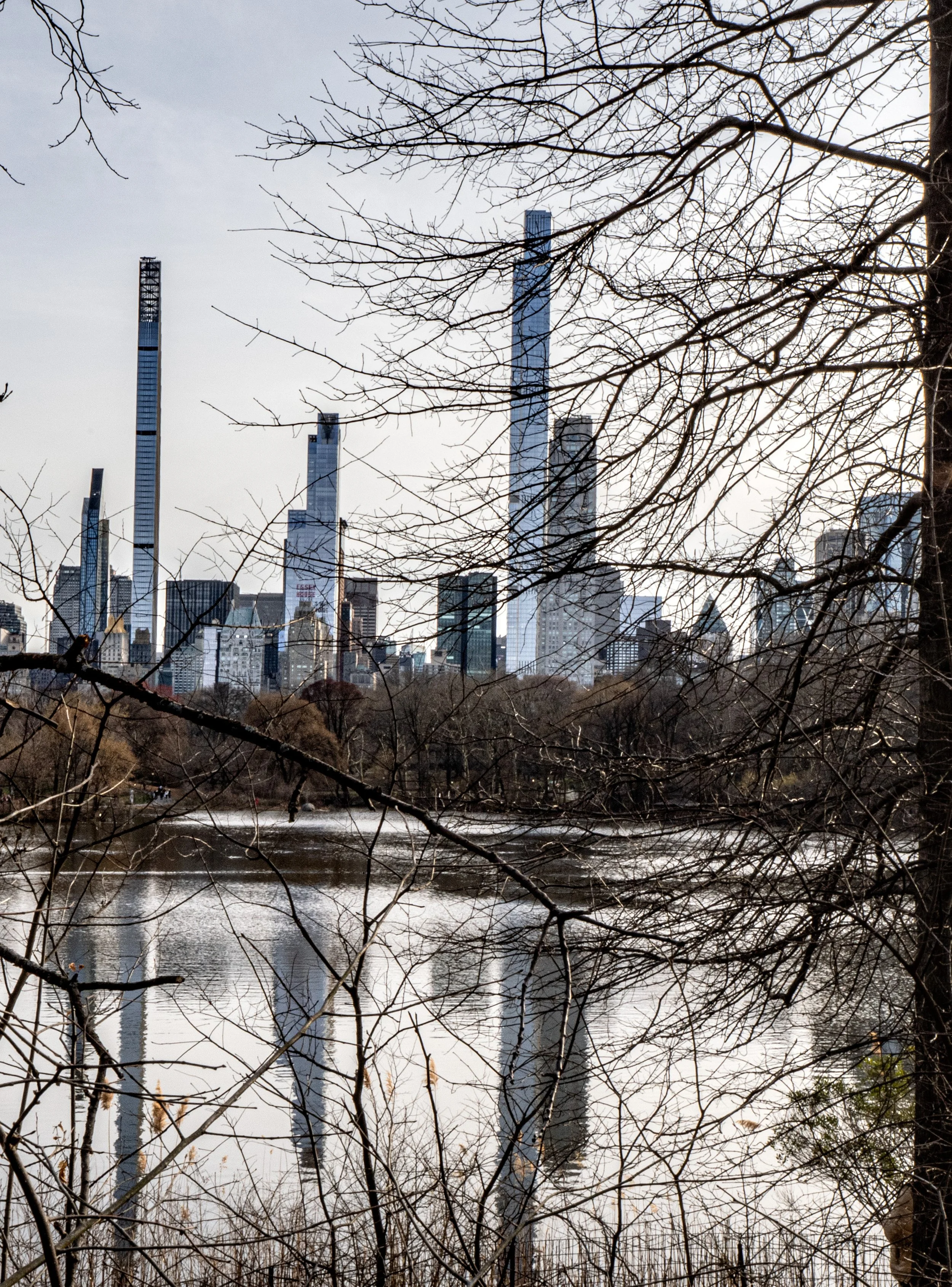 New York City • Central Park • Reflections of Central Park West in the pond III • Mar 23, 2025