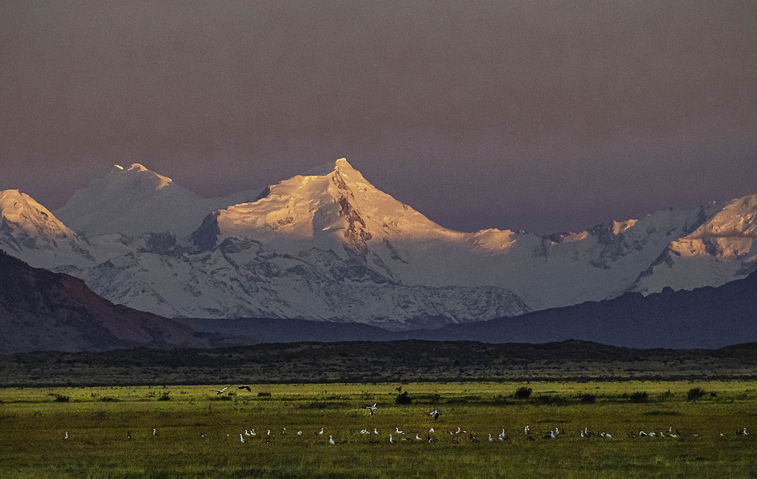 Chile • Argentina • Glacier with birds at sunset • Mar 21, 2024