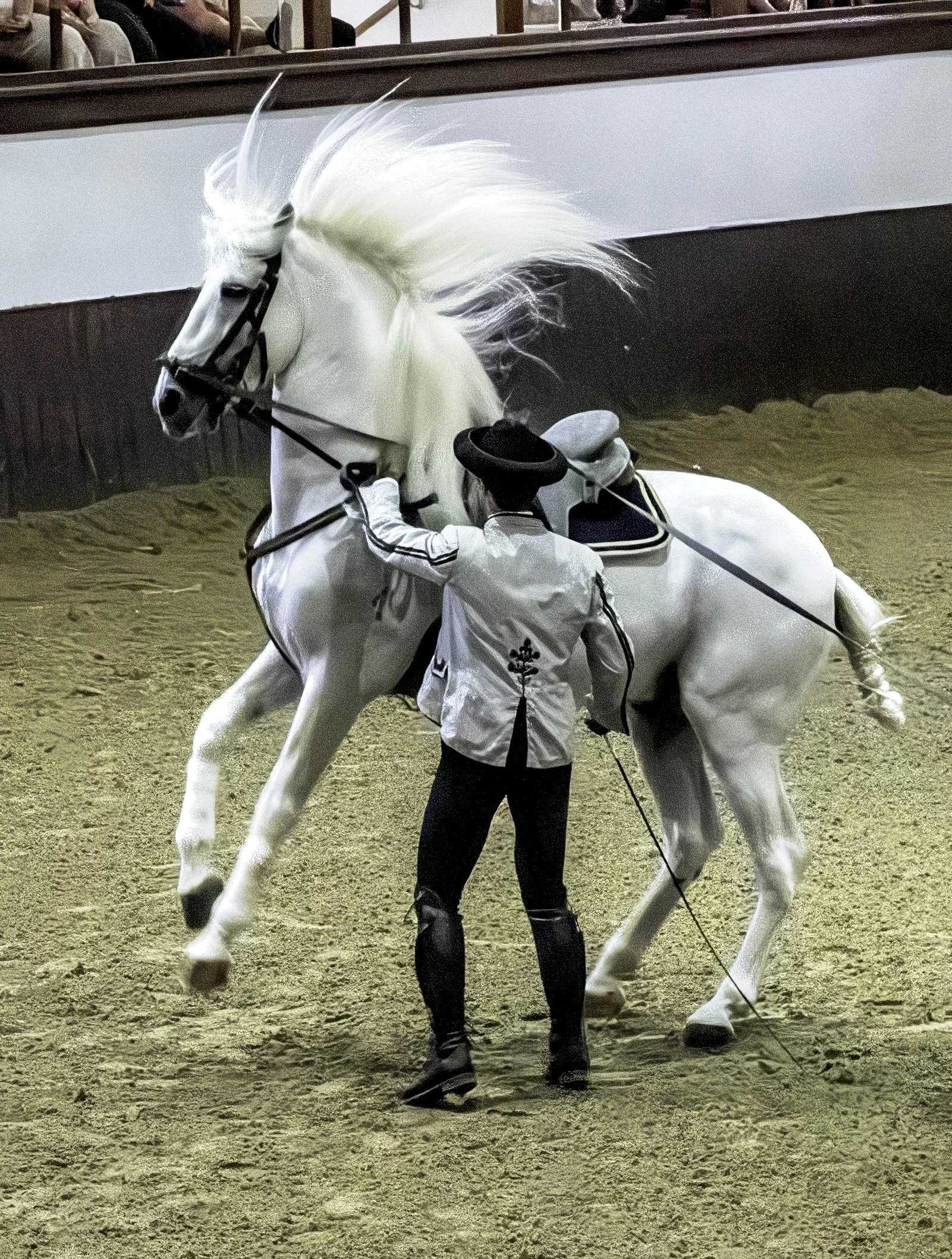 Spain • Spanish Riding School • White horse jumping • Jul 3, 2024