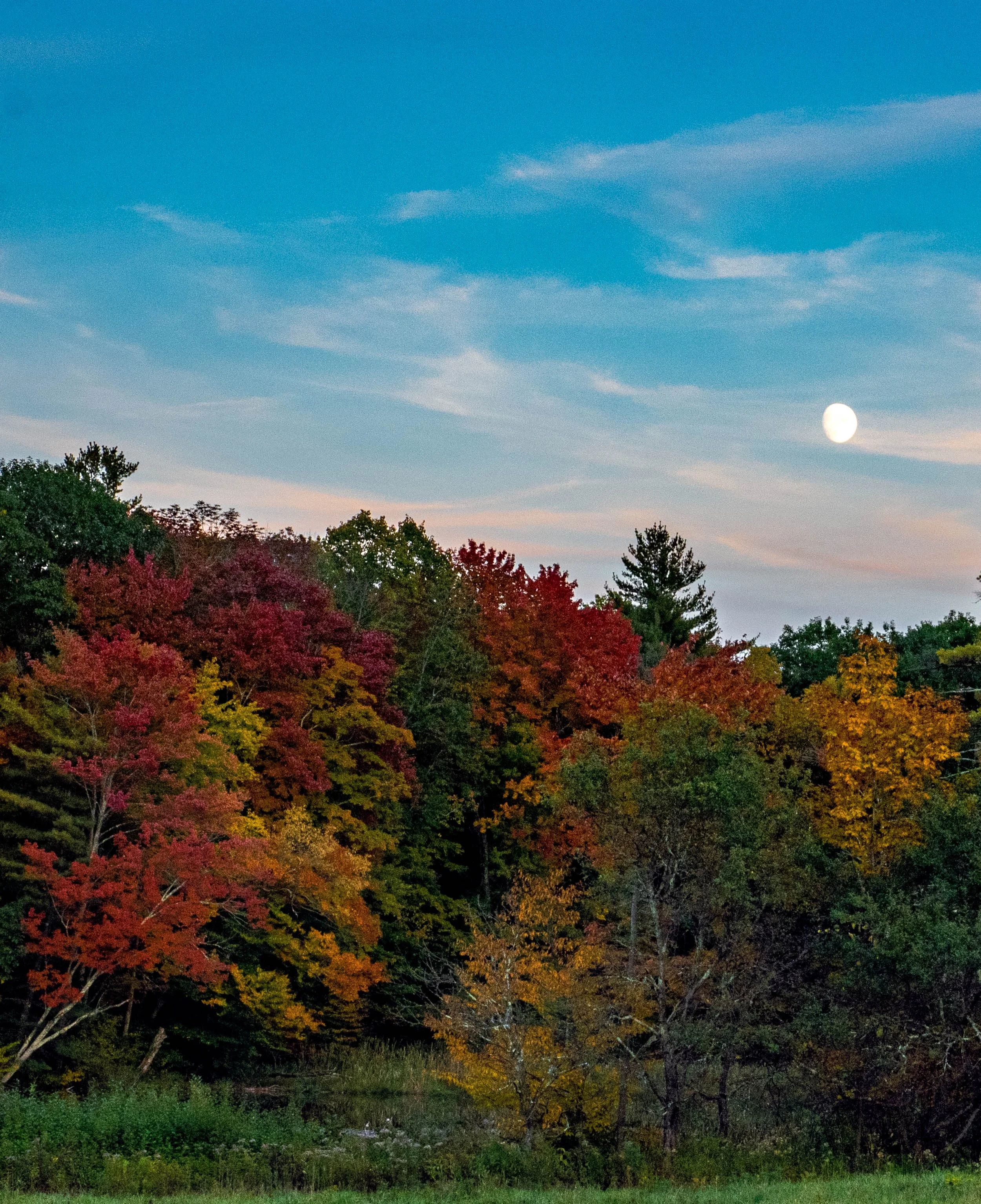 Vermont • Dorset • Fall foliage with moon • Oct 7, 2022