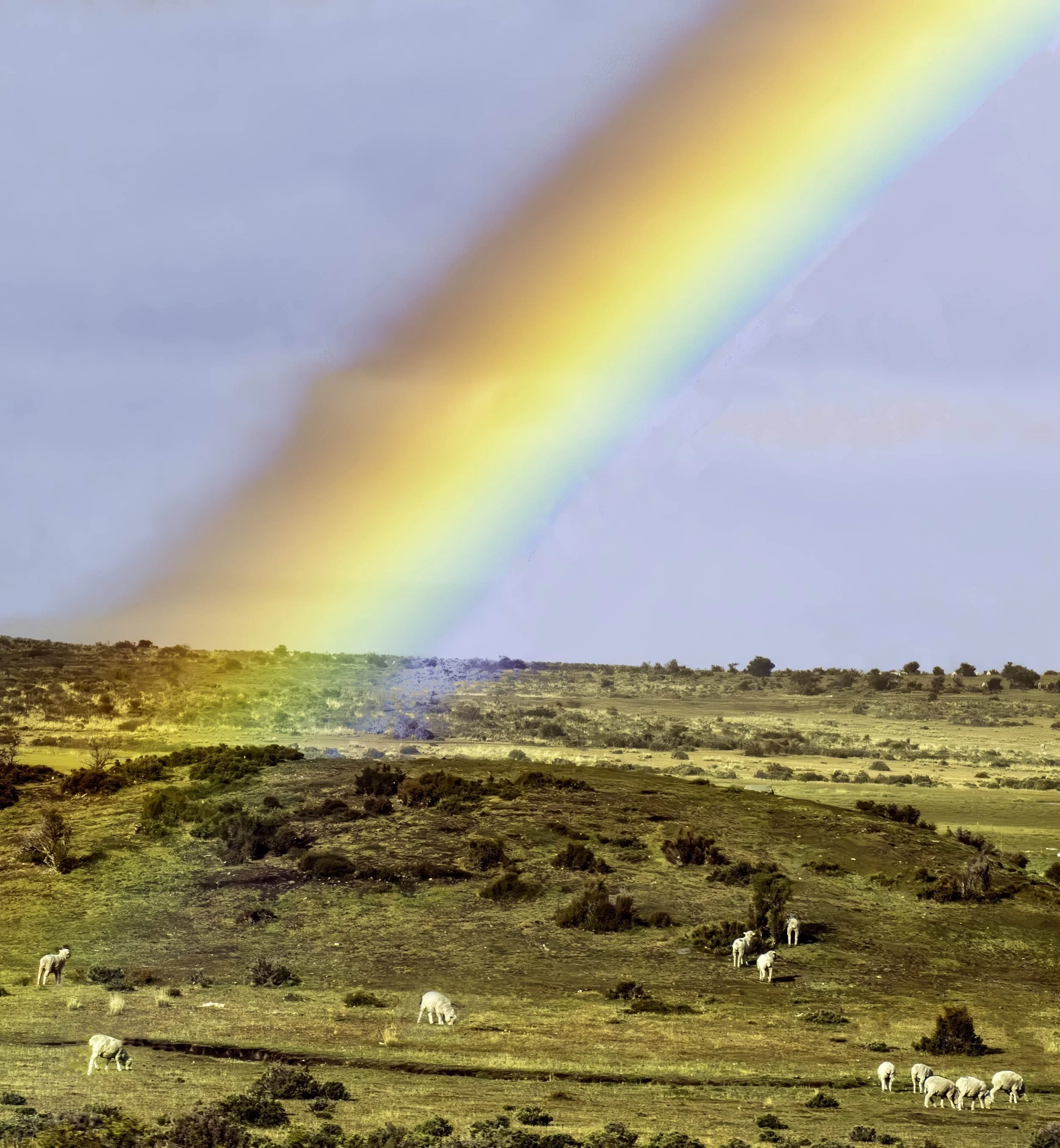 Chile • Rainbow on the road vertical back from Punta Arenas • Mar 26, 2024