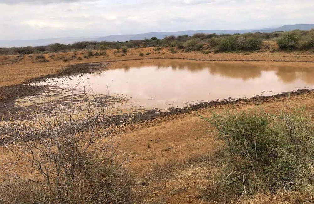 web-Kenya-Drought-DS-IMG_1648.jpg