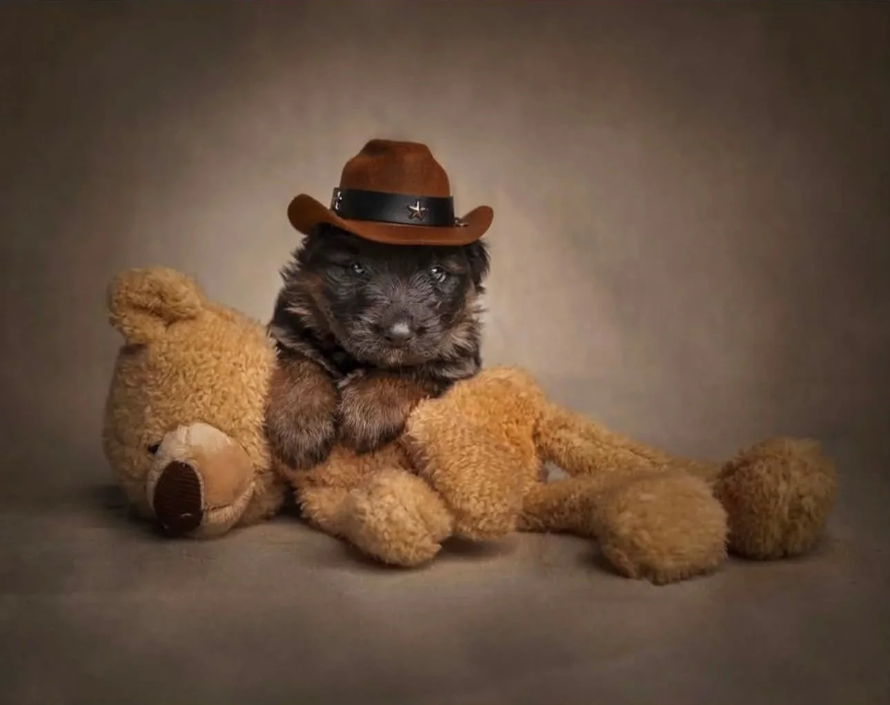 A cute kitten wearing a cowboy hat, sitting on a plush teddy bear in a cozy setting with a plain neutral background.