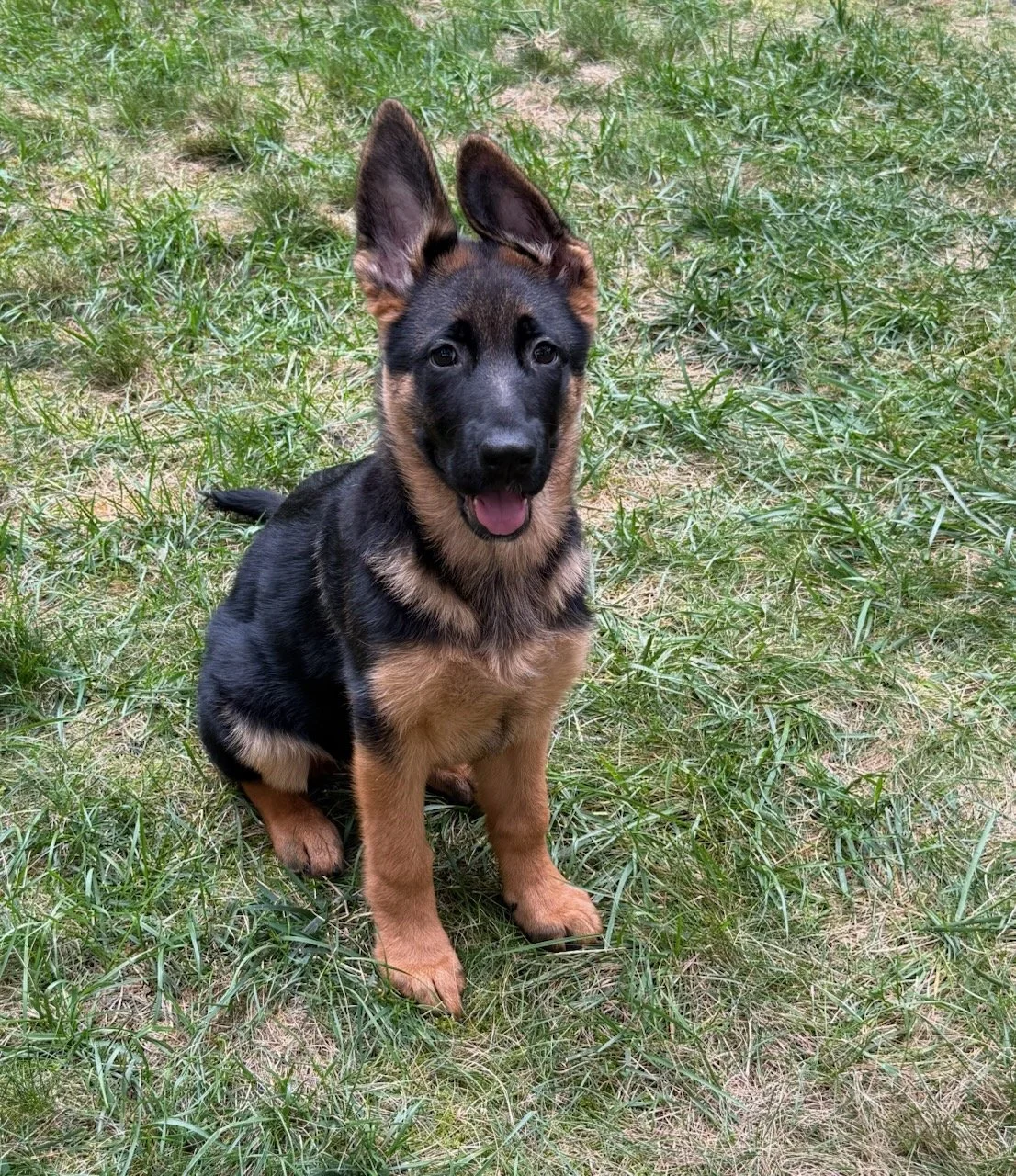freya2026