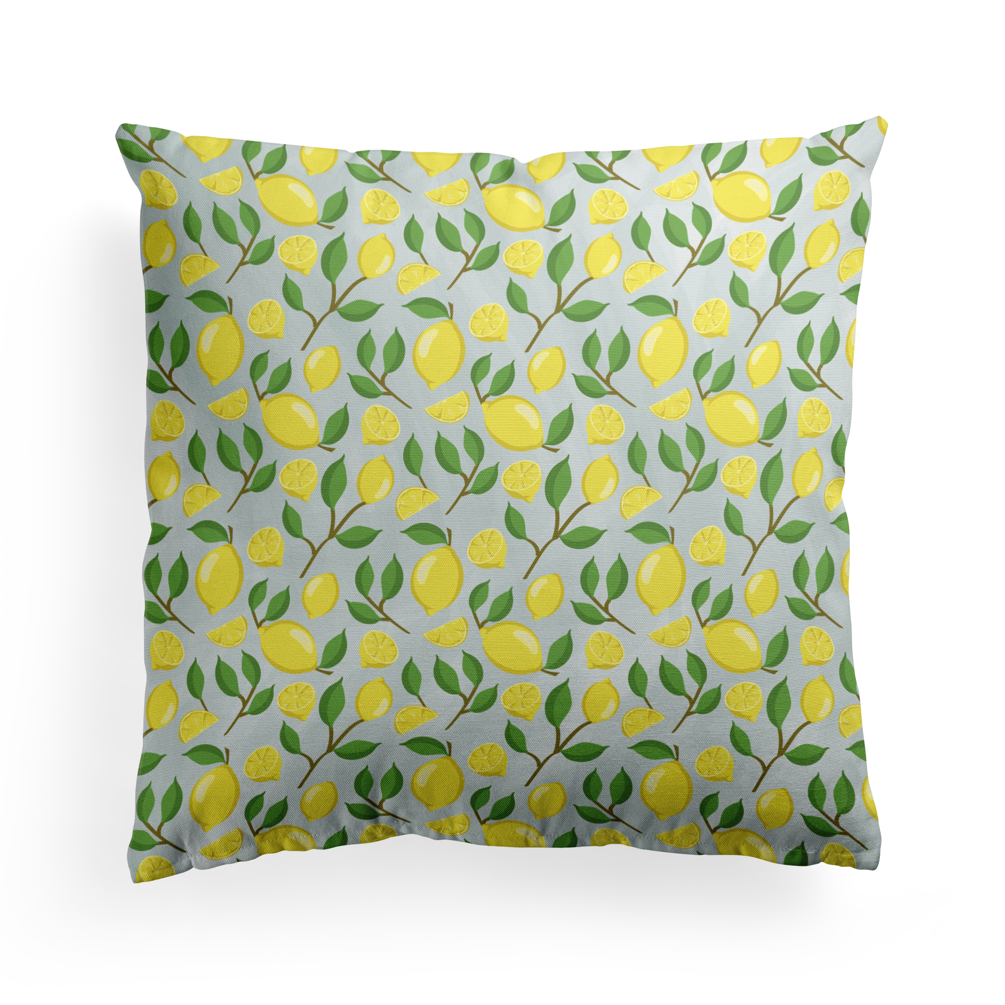Lemon-Branch-Pattern-Pillow-Mockup.png