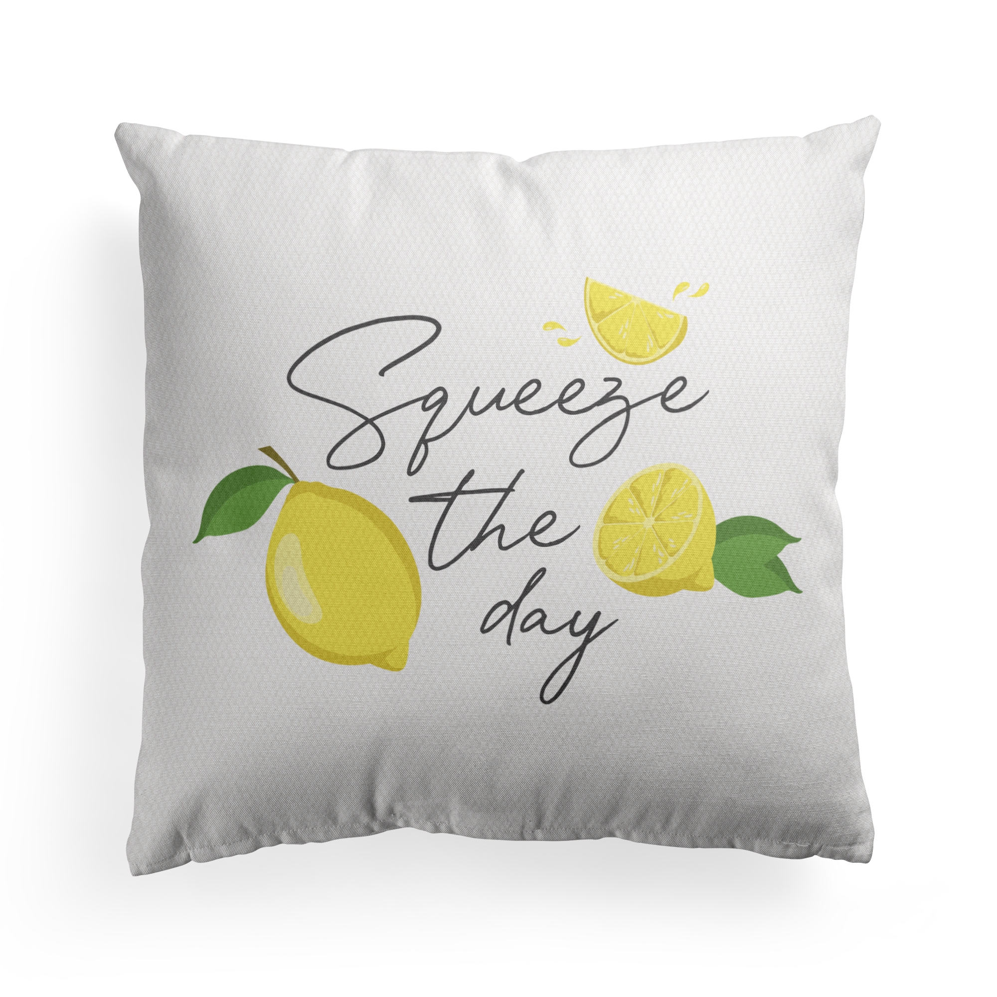 Squeeze-The-Day-Pillow-Mockup.png