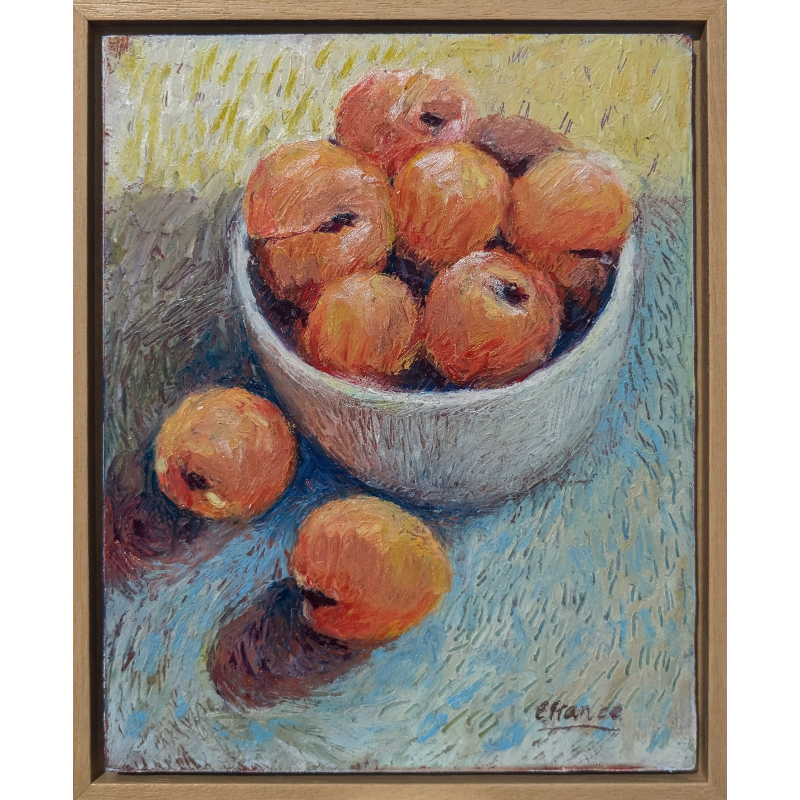 Bologna Apricots