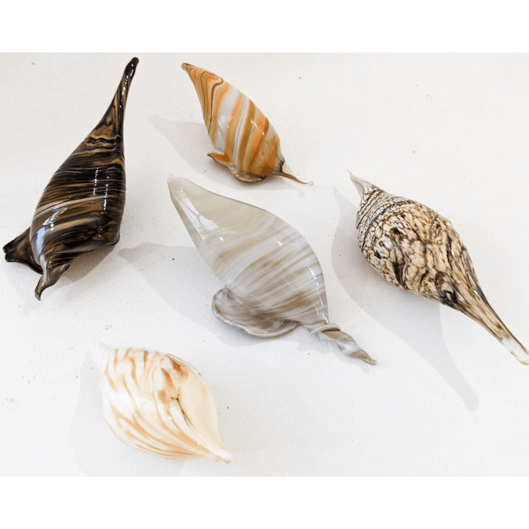 Handblown Shells — Aspire Gallery