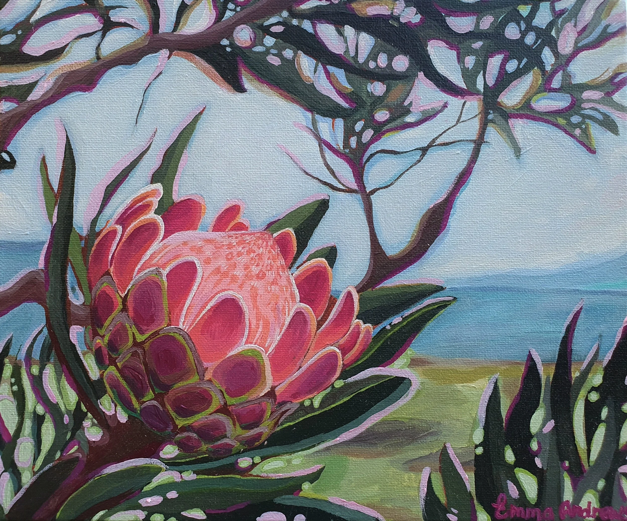 Pink Protea