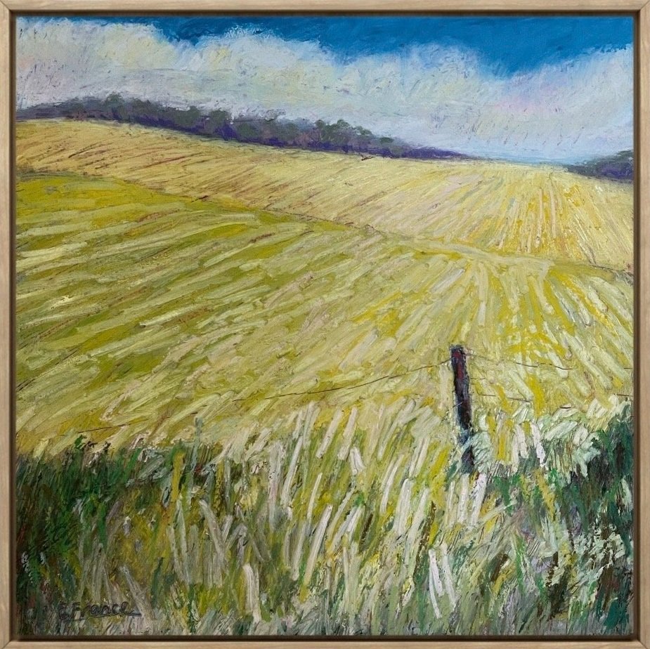 Canola Crop
