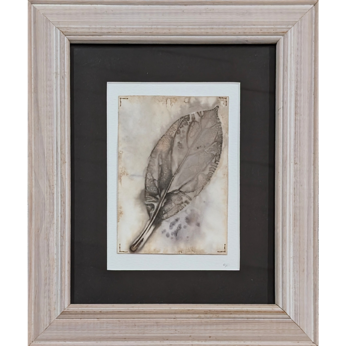 Leaf