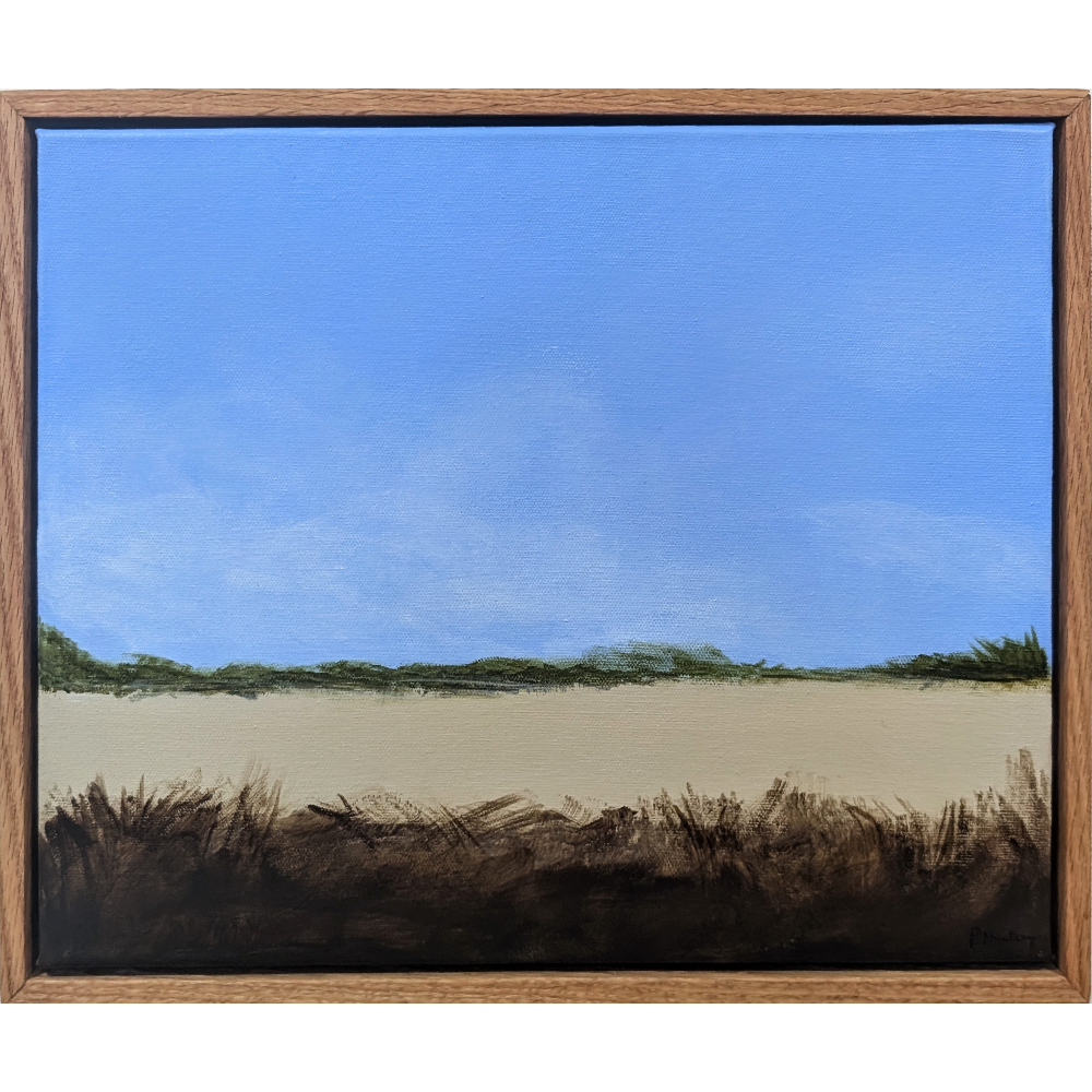 Coastal Dune