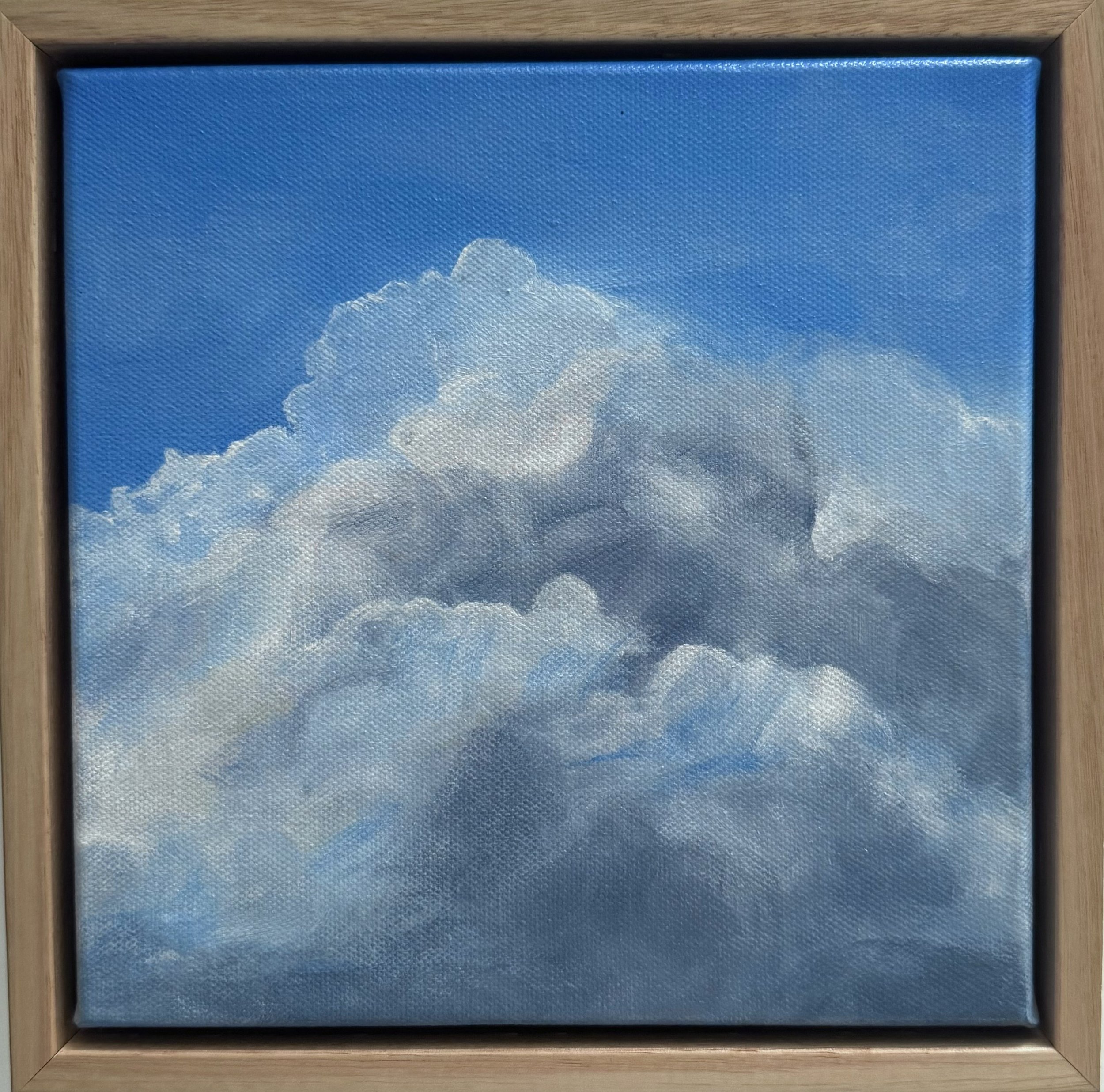In the Clouds.jpg