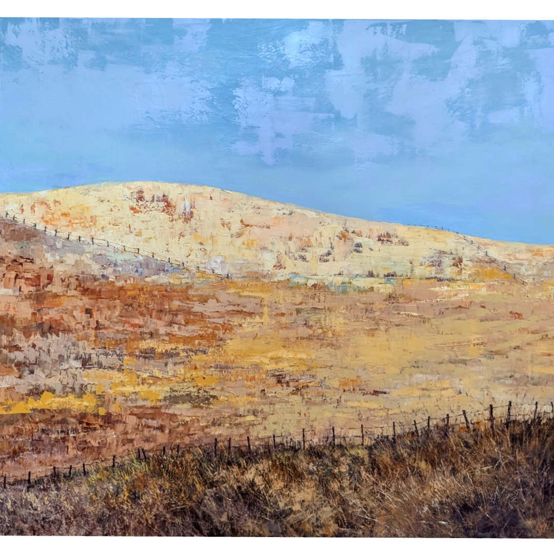 Fence Lines on the Summer Hill
