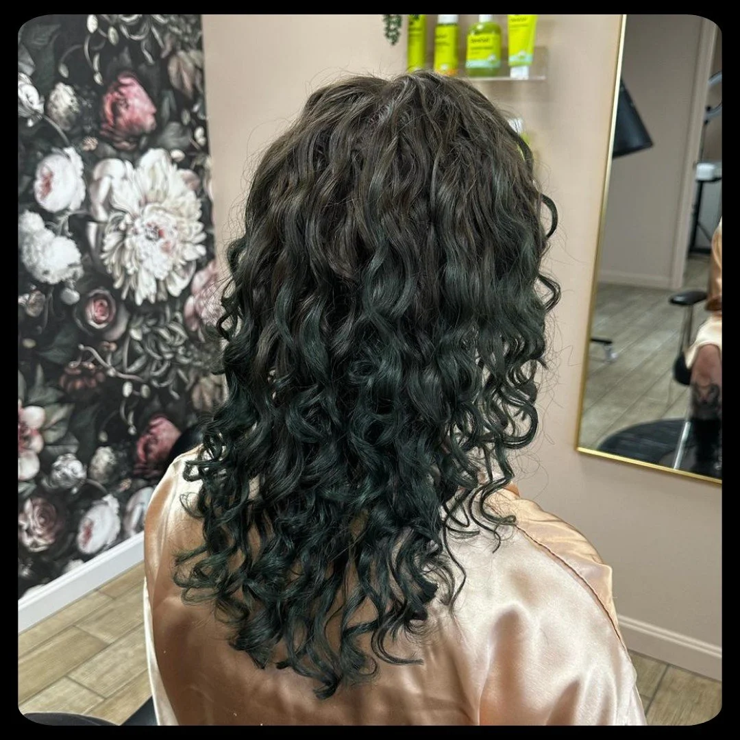 #thecurlycanvas #curlyhair #naturallycurlygirl #naturallycurly https://www.thecurlycanvas.com/pricing