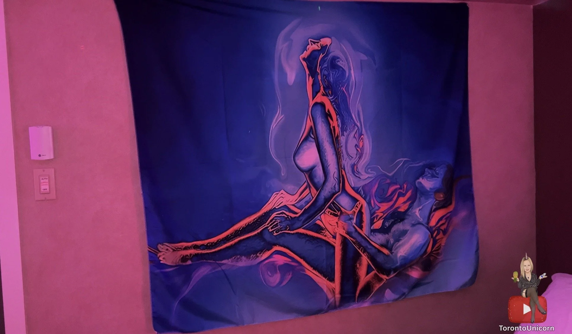 Vin photo for website-7.jpg