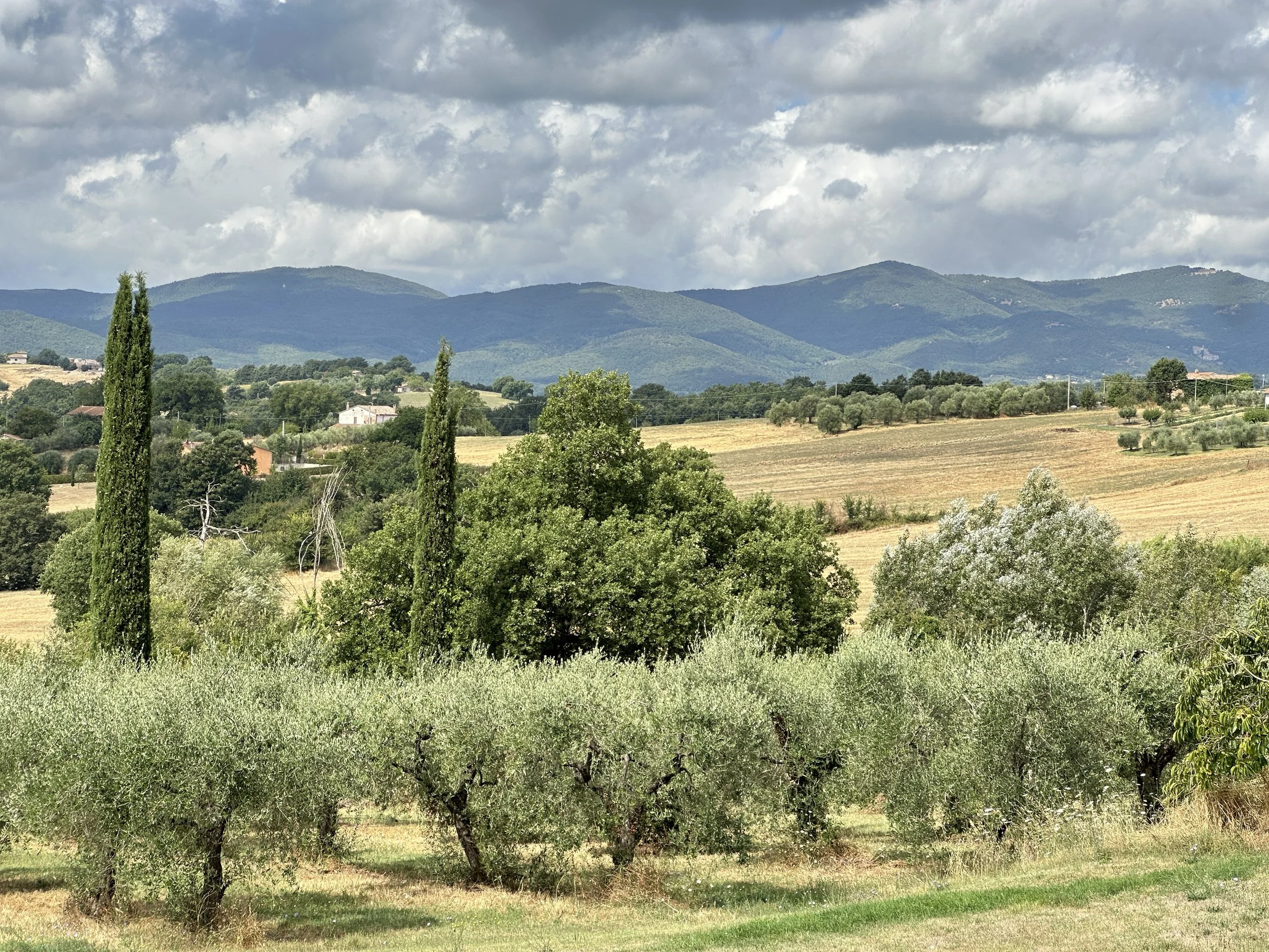 View from the Villa pool