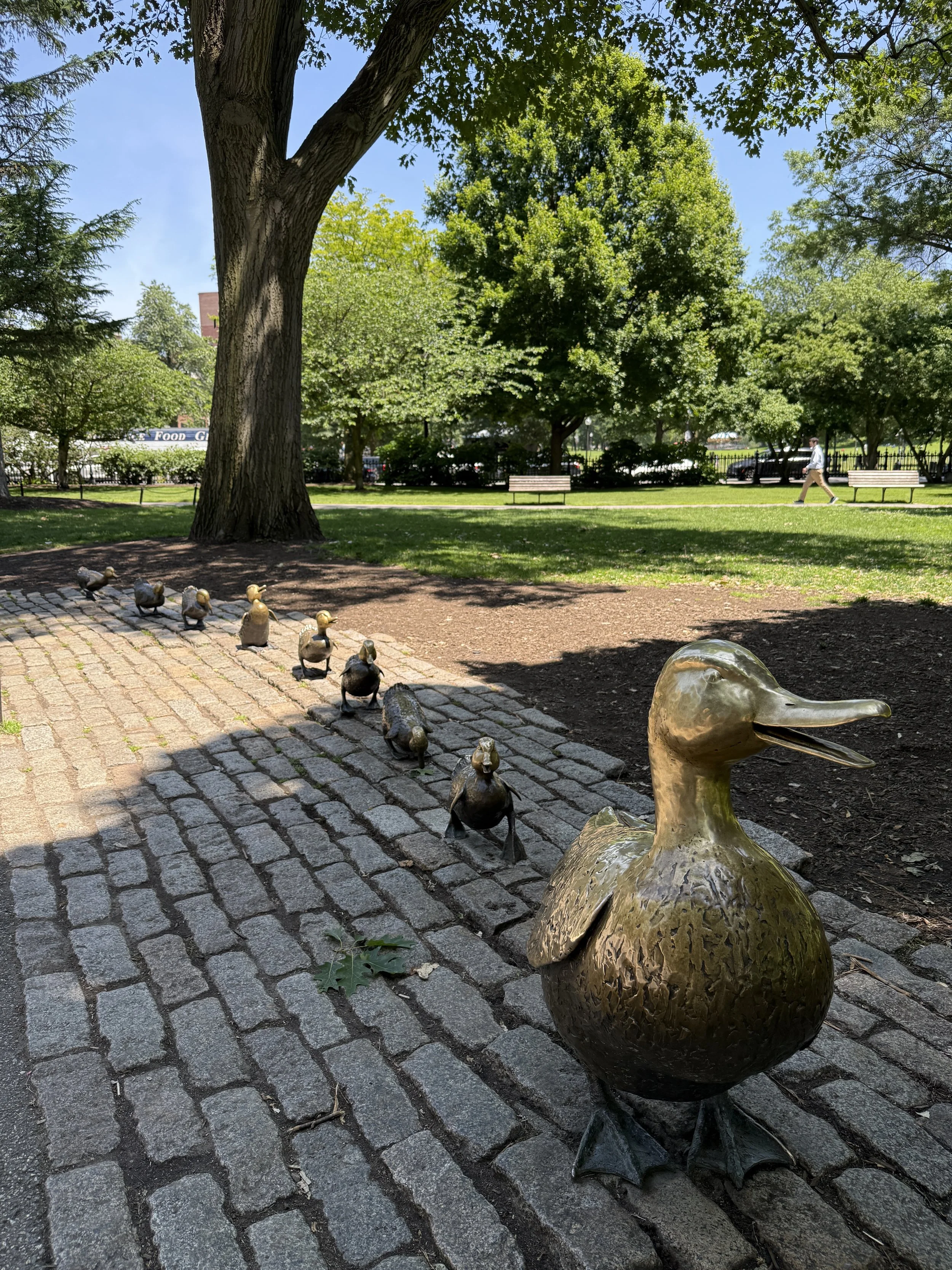 Boston Public Garden