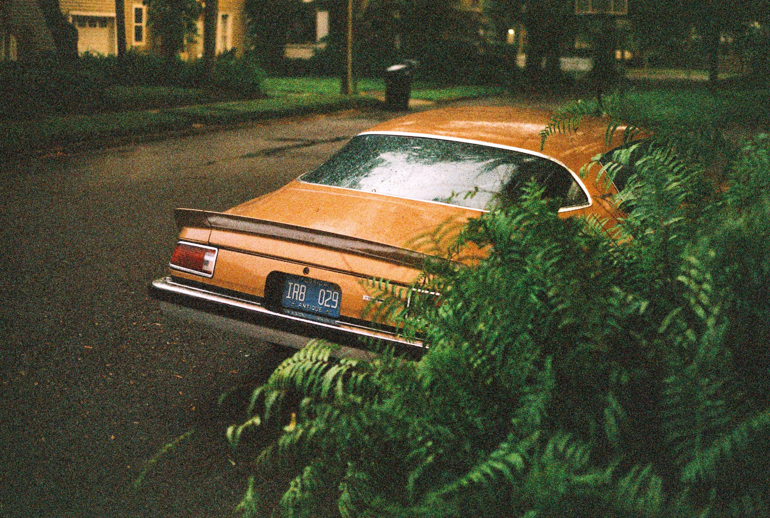Golden Brown