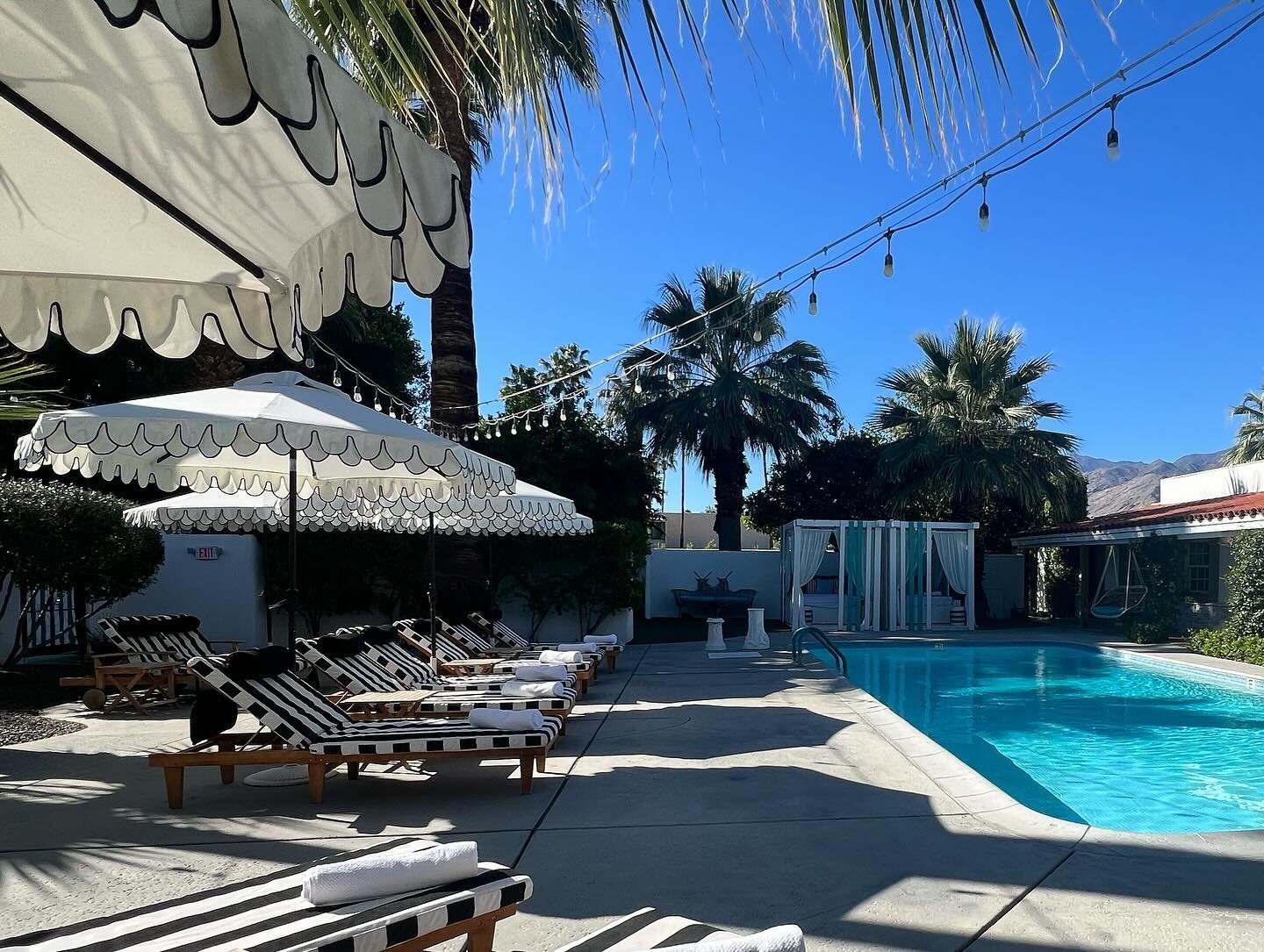 I&rsquo;m pretty sure that when my soul came into this world she requested the Palm Springs package. Thank you @altsummit and @saguarohotels  for putting on such an inviting, happy and inspiring event. Literally an oasis in the desert of entrepreneur