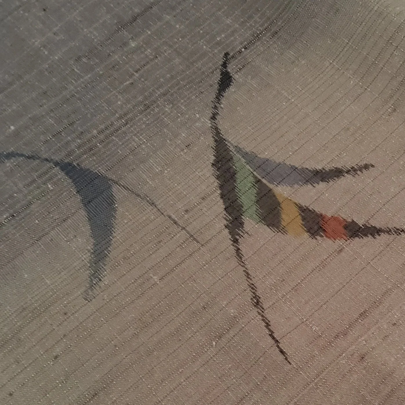 Paired Crane Hand Woven Tsumugi Kimono Silk TJ59