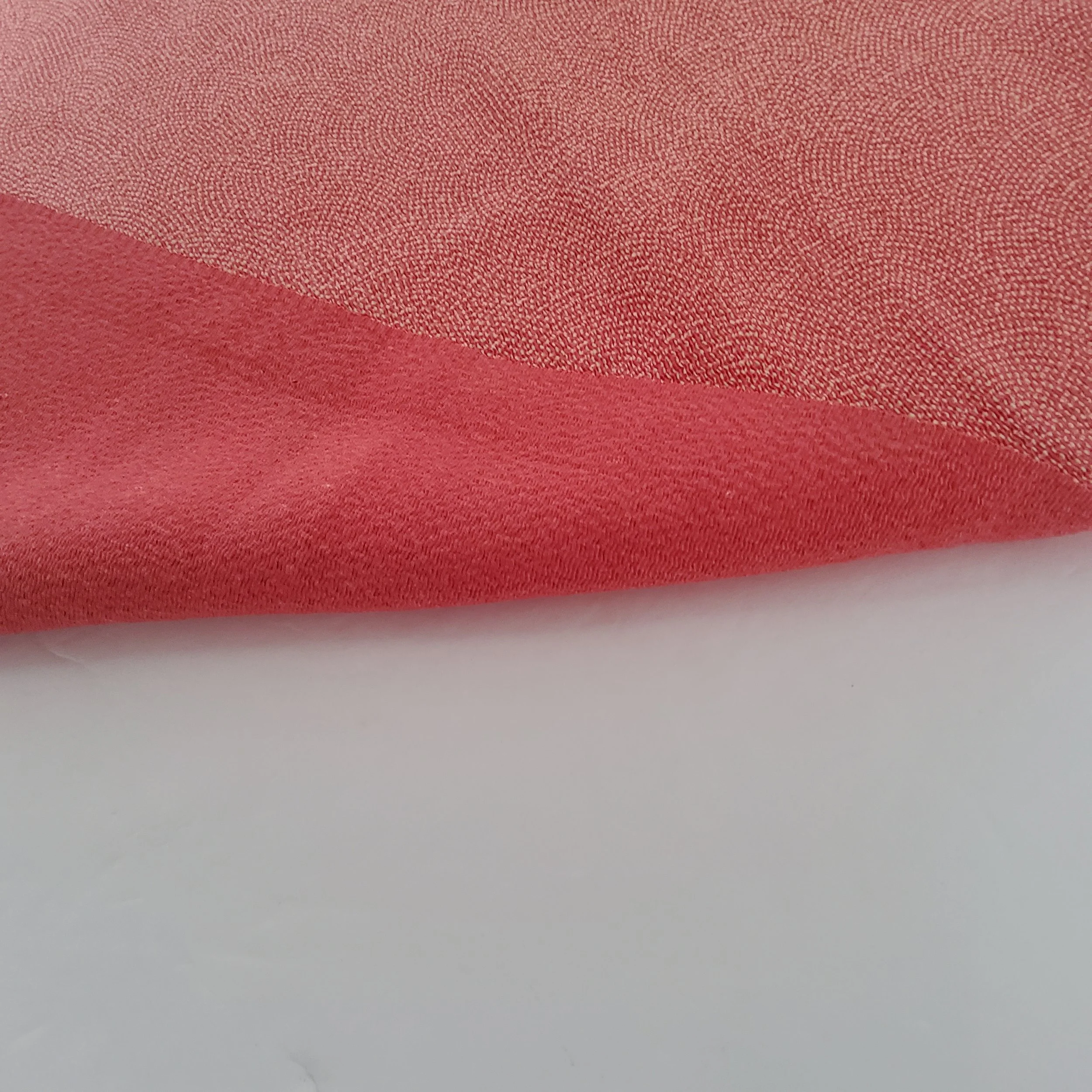 20250726_120207.jpg