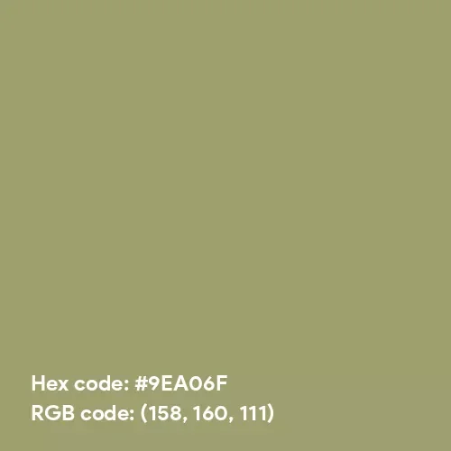 9EA06F-rustic-sage-color.webp