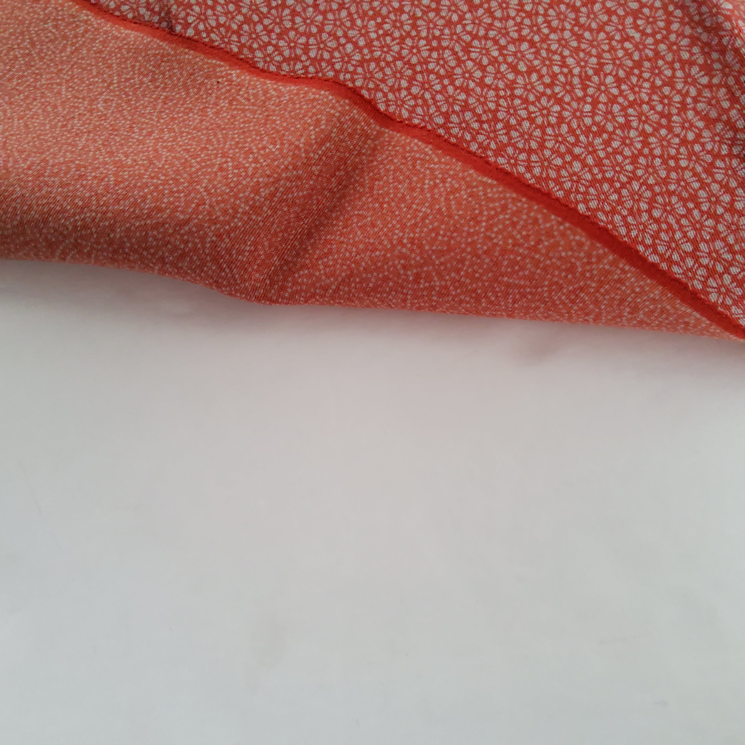 20250506_111036.jpg