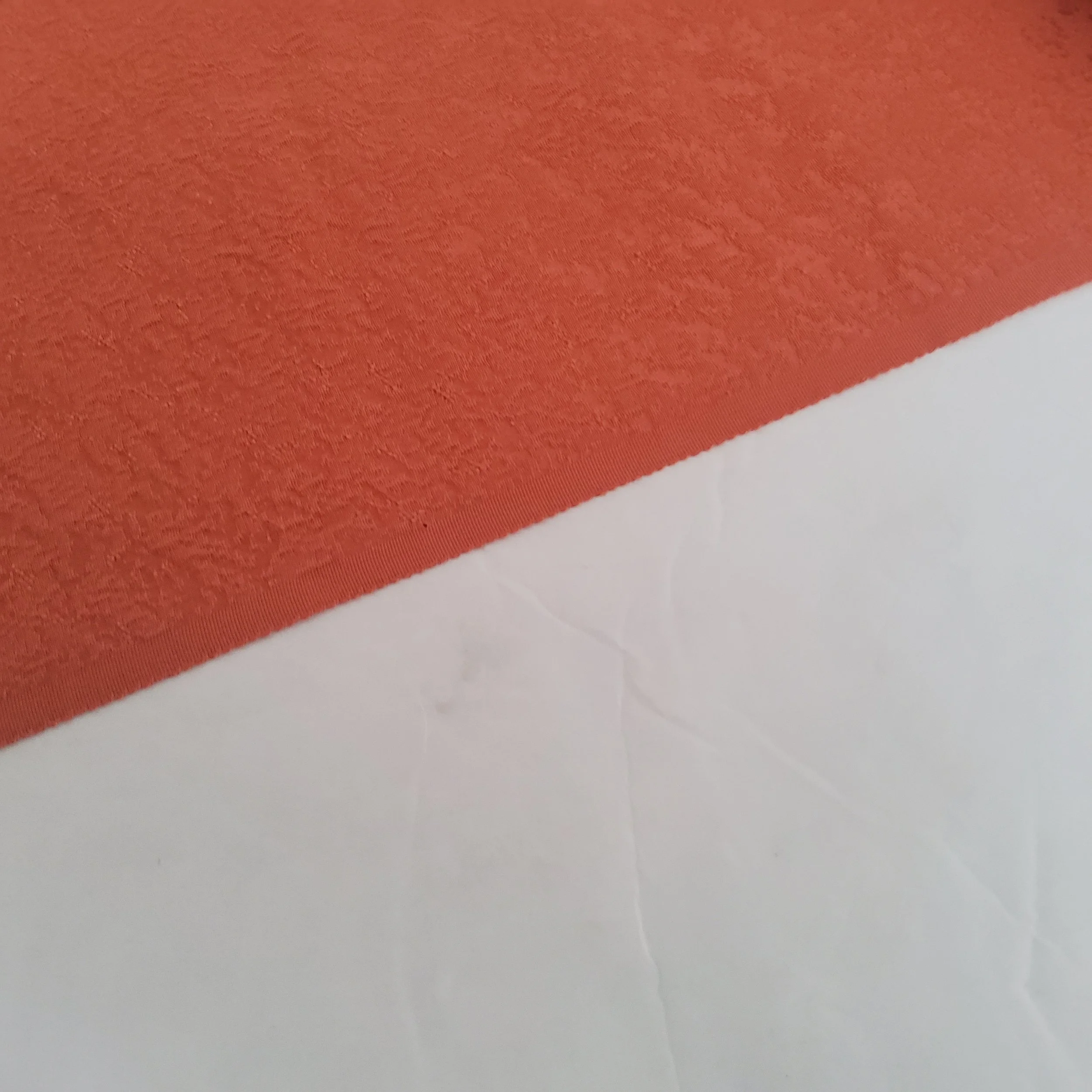 20250913_140921.jpg