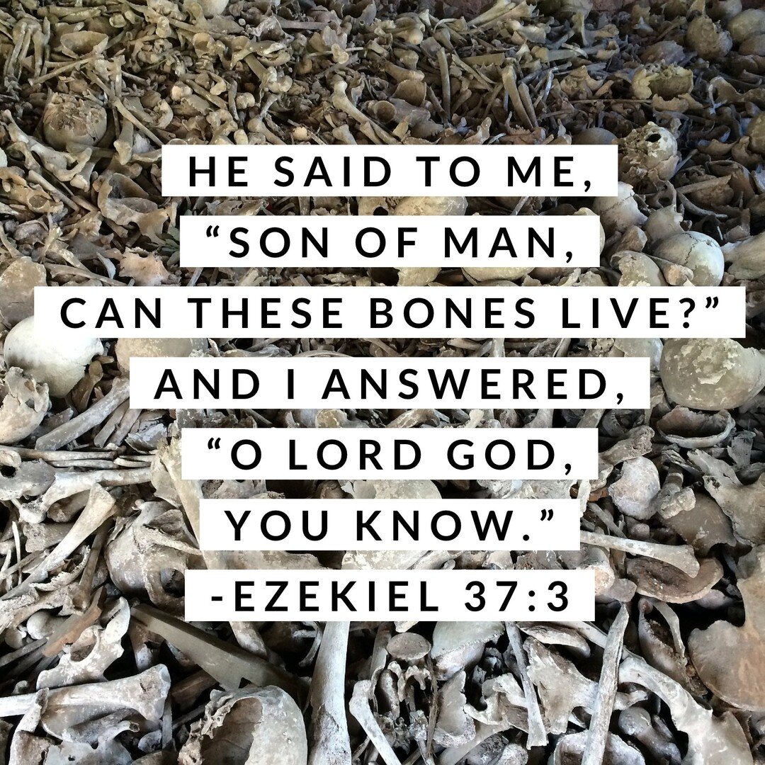 🔥 Day 249. Ezekiel 36-38
Dry bones are a picture of being without hope. &ldquo;Then He said to me, &lsquo;Son of man, these bones are the whole house of Israel; behold, they say, &lsquo;our bones are dried up and our hope has perished. We are comple
