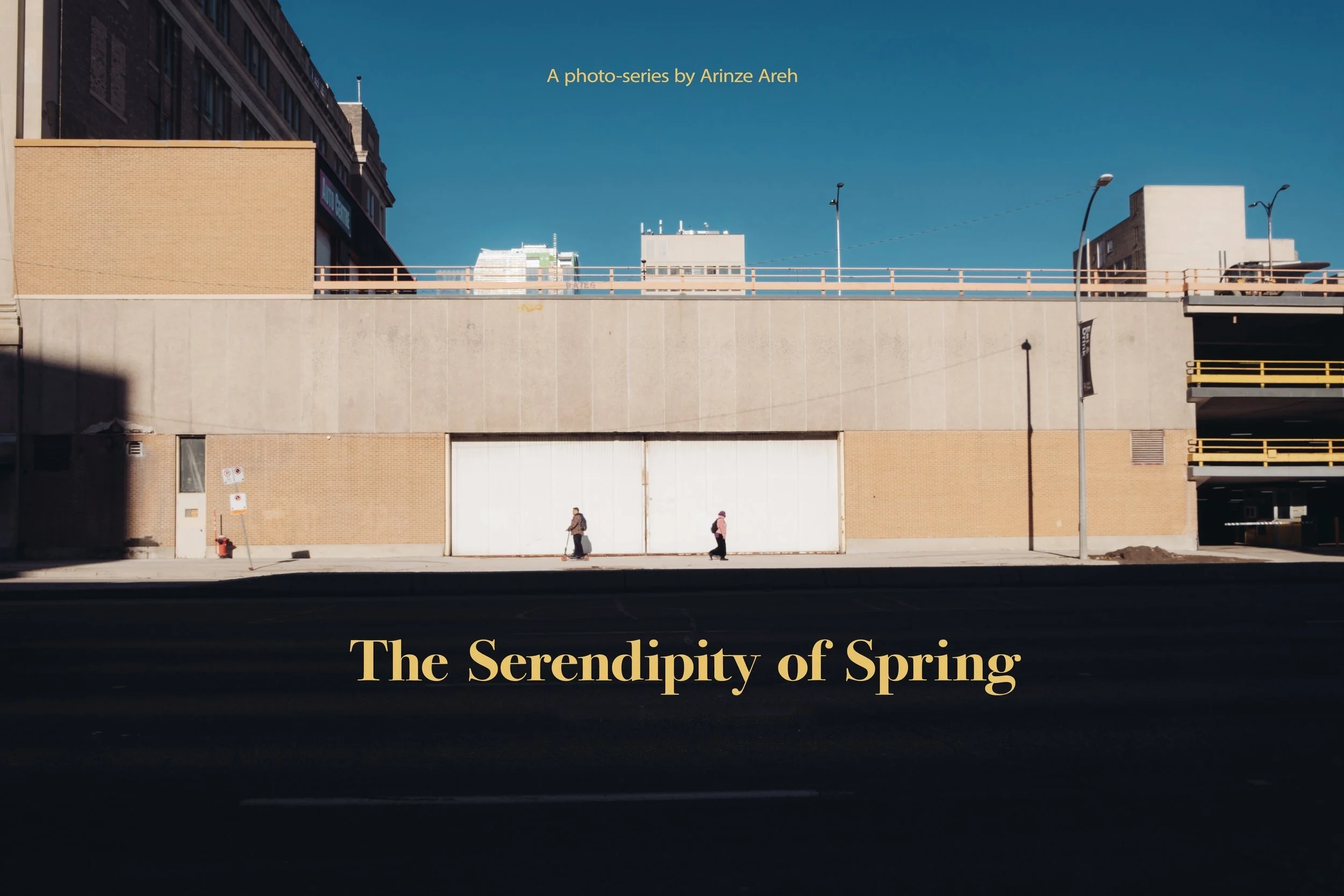 The Serendipity of Spring 
