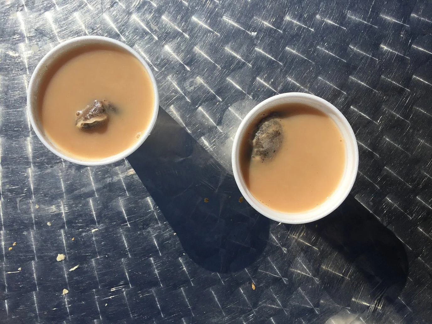 Local Gossip | February - March 2020