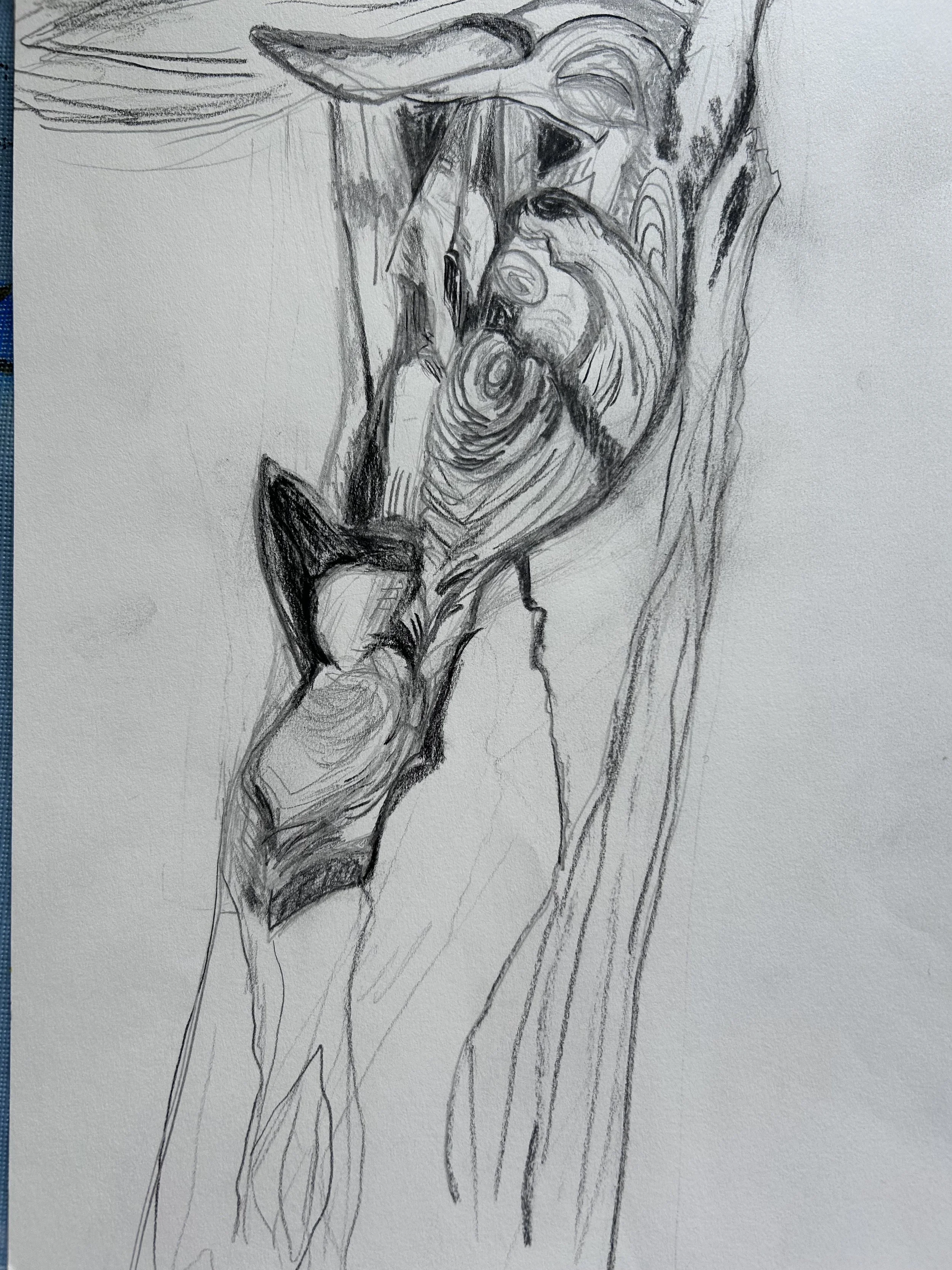 The Generosity of Trees