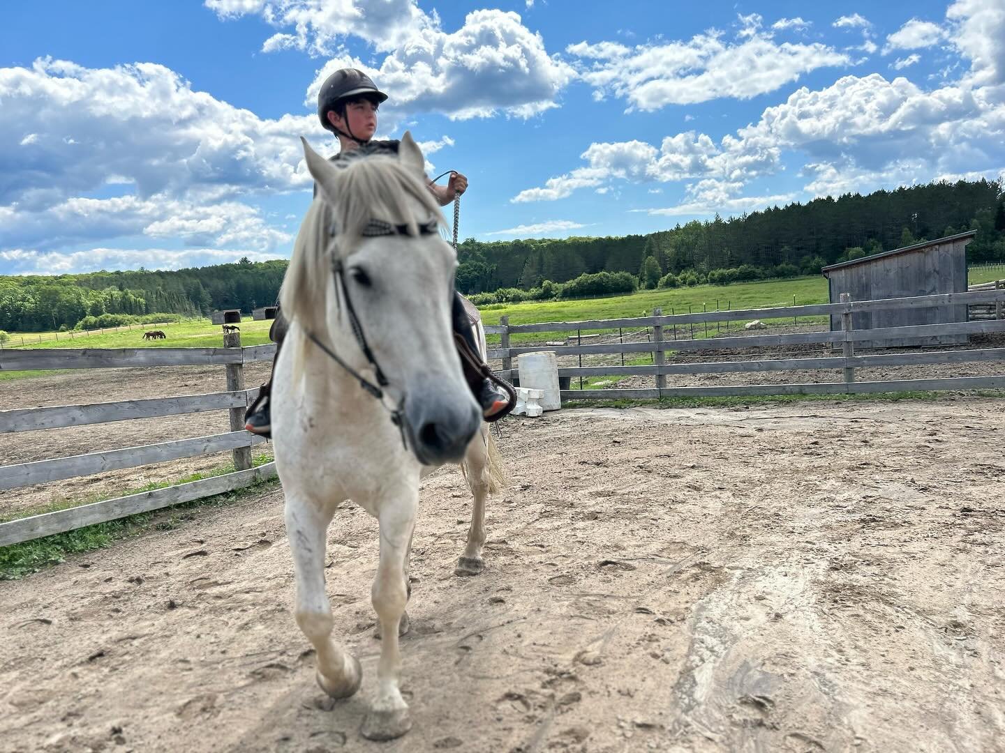 Everett just finished up another week at Crooked Creek Ranch horse camp. He started riding on his own without a lead this year and built a strong bond with Elliot. Super proud of the confidence he&rsquo;s built. Way to go kiddo!! 🐎 🤠