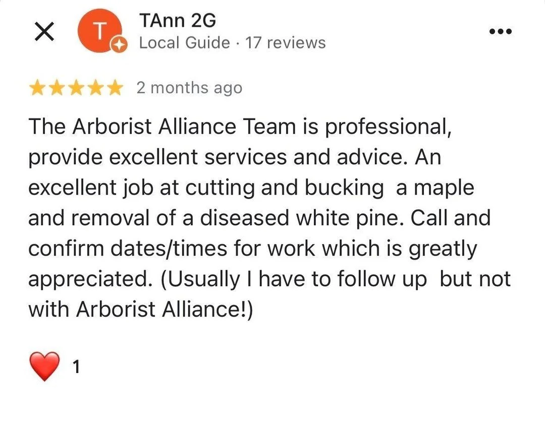 ⭐️ ⭐️ ⭐️ ⭐️ ⭐️ 

Why choose Arborist Alliance?

Our clients speak for us.  Even the 1️⃣ review from someone we never worked for still had nice things to say. 😂 
&bull;
&bull;
&bull;
&bull;
&bull;
#ArboristAlliance #TrustedProfessionals #FiveStarServ