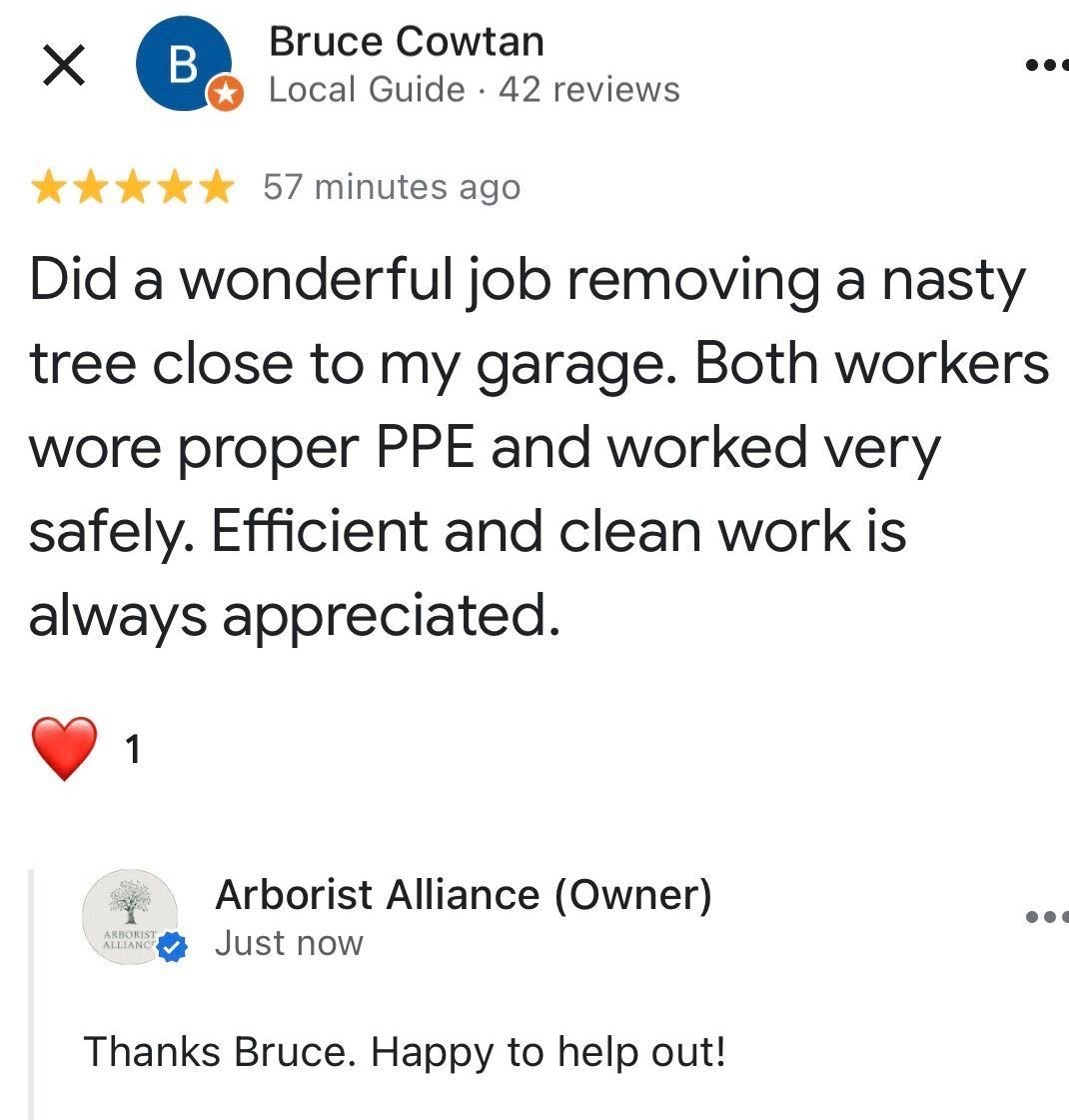 ⭐️⭐️⭐️⭐️⭐️ Another 5-Star Review!

It was a wet, rainy Friday, but we got the job done. We&rsquo;re always happy to provide reliable, professional tree care to the Almaguin area.

This black cherry tree had a significant crack in a large limb overhan