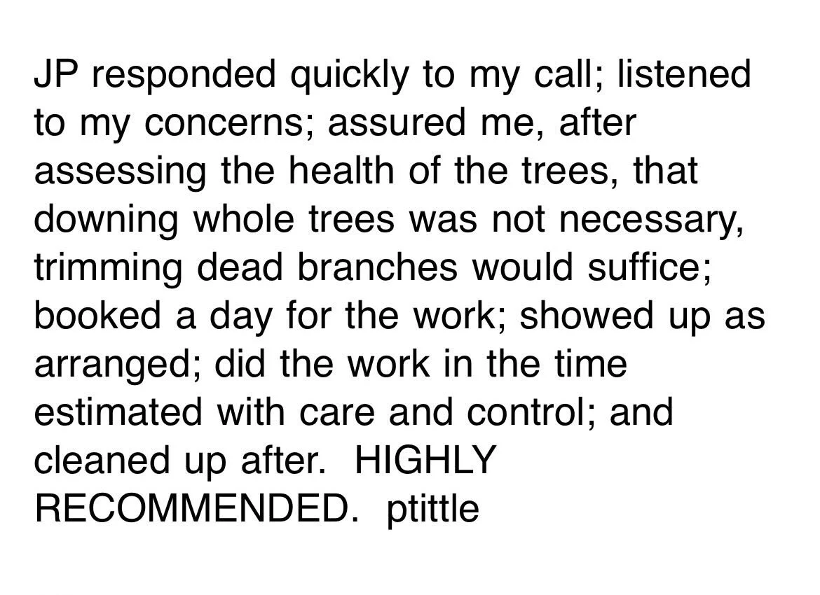 ⭐️ ⭐️ ⭐️ ⭐️ ⭐️ 

Another happy customer. We removed all the large deadwood out of 4 80 ft white pines for our client in Sundridge and she was more than thrilled with the results.  Have a tree that needs some attention. Reach out today for your free e