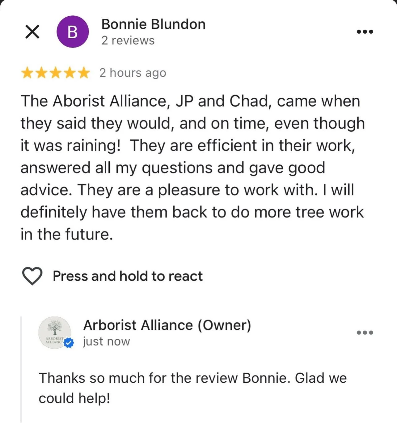 Another 5 🌟 review! Multiple trees serviced at this client&rsquo;s property, exceeding expectations! We're so happy to hear feedback like this from our clients. Have trees that need assessment? Give us a call today for your free estimate.