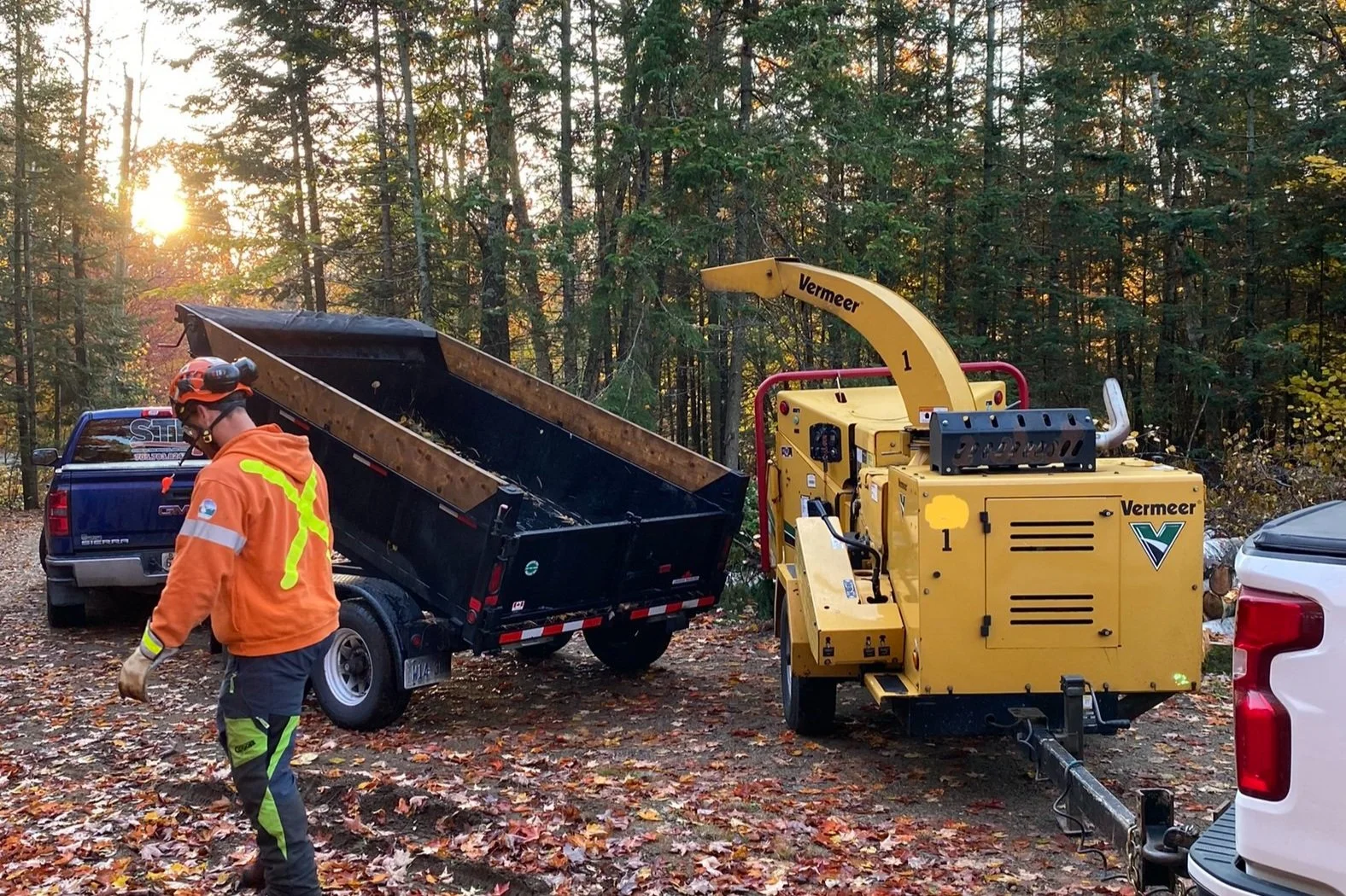 Chip Dump Program Arborist Alliance Arborist And Tree Removal chip-dump-program-arborist-alliance-arborist-and-tree-removal