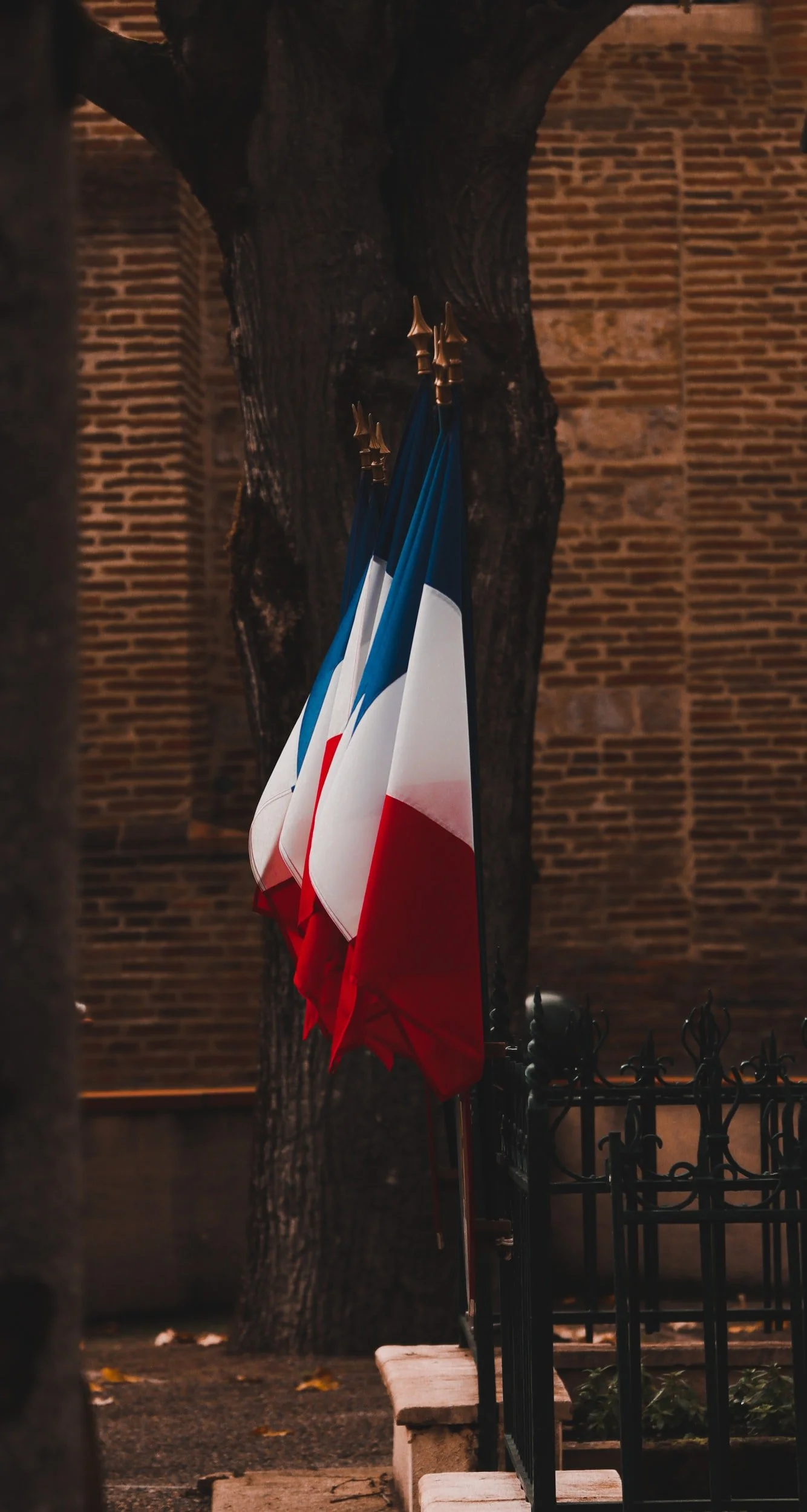 Dominialité Publique