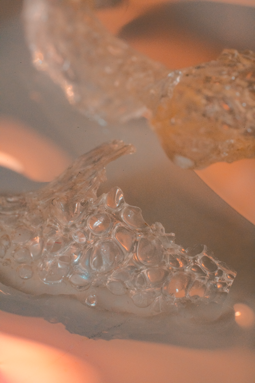 04.25_Albumen_web-4.png