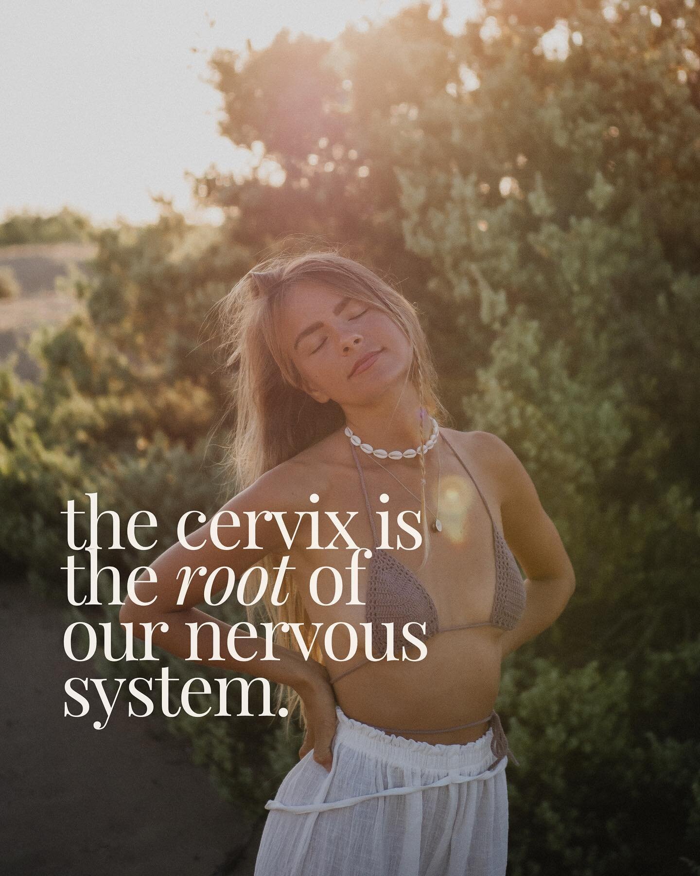THE CERVIX IS THE ROOT OF YOUR NERVOUS SYSTEM🌹🌹

that's right sweet love, your capacity for pleasure is deeply related to your sense of safety in this world. in multiple ways... so let's break it down🍯

🌺first of all, the vagus nerve, which rules
