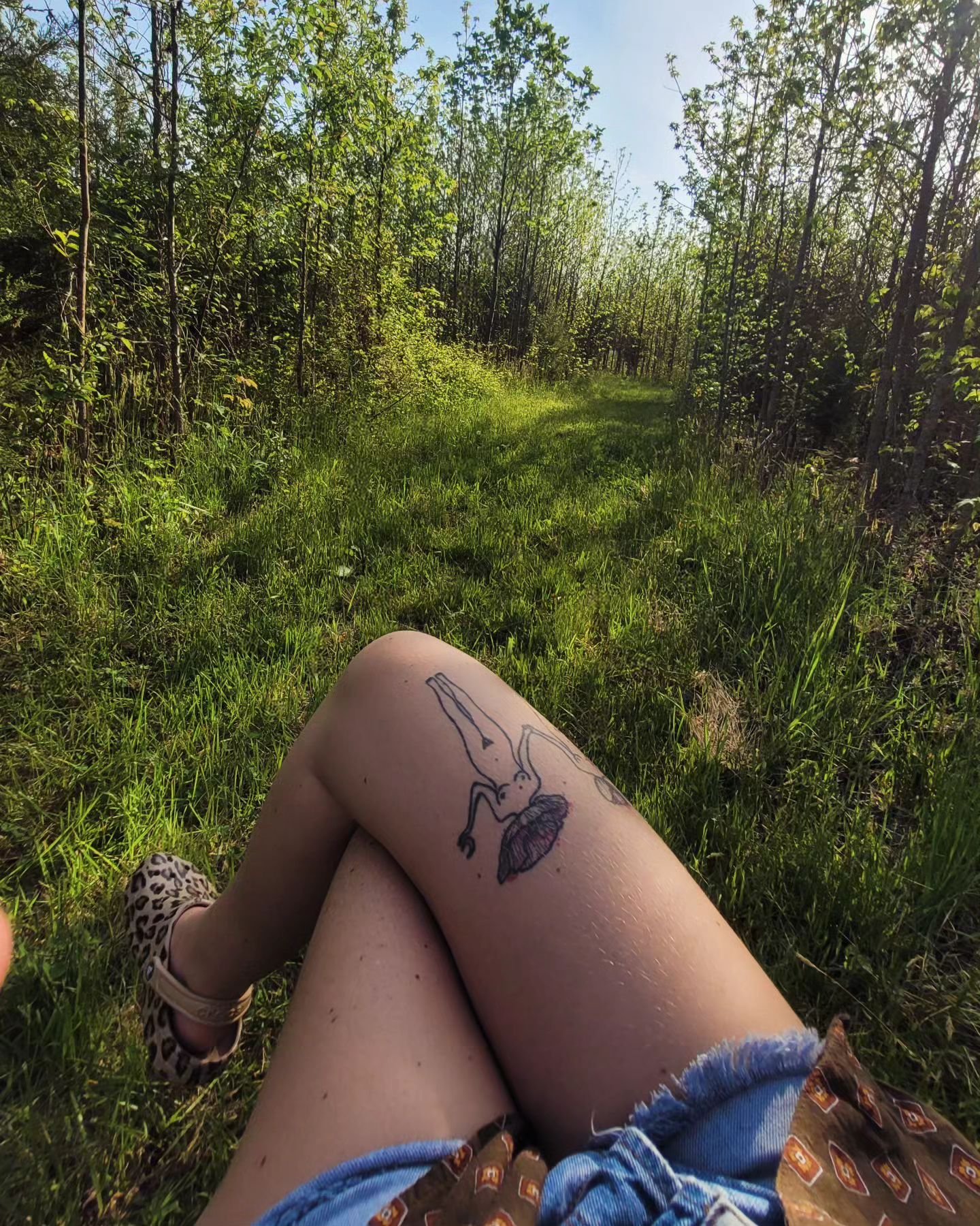 My favorite sit spot on the farm. I've been coming to this spot since January. I'm learning about this land and its inhabitants through the practice of being and observing. I love connecting to the cycles of the Earth through watching her seasons evo