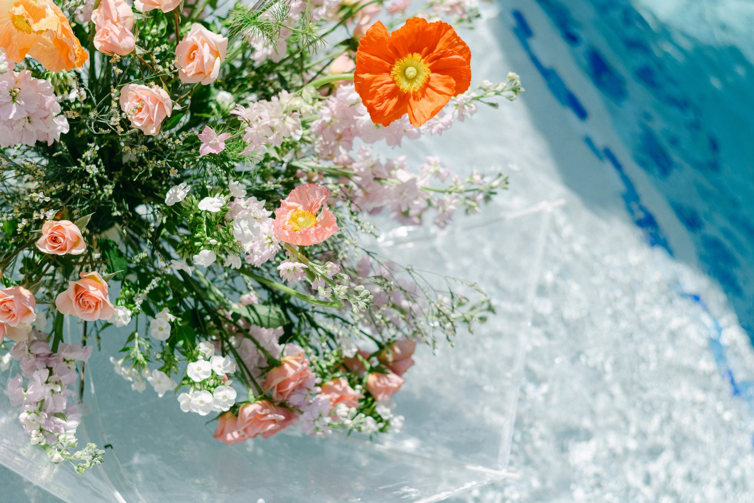 DaniEguesPhotography-23 2.JPG