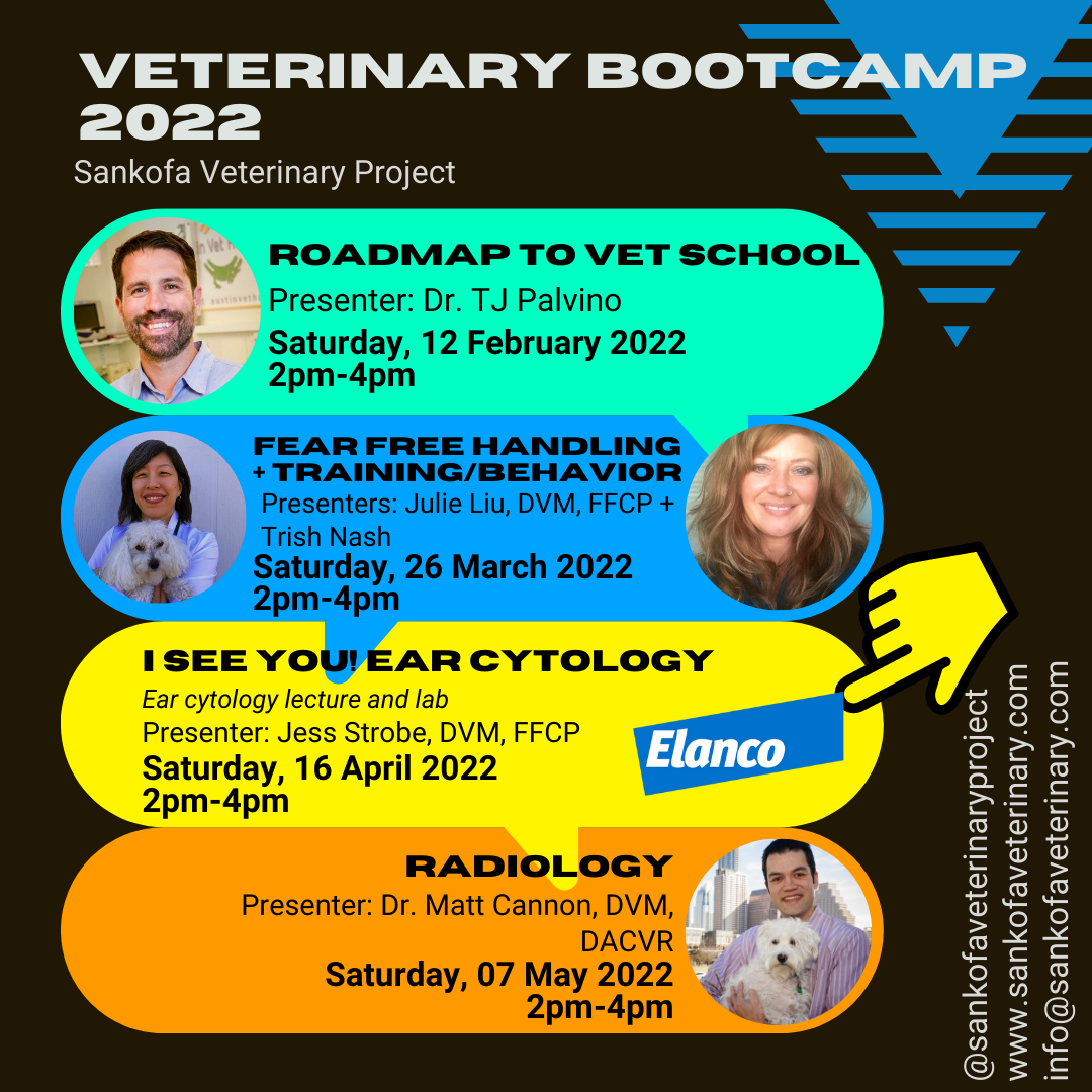 Veterinary Training Sessions — Sankofa Veterinary Project