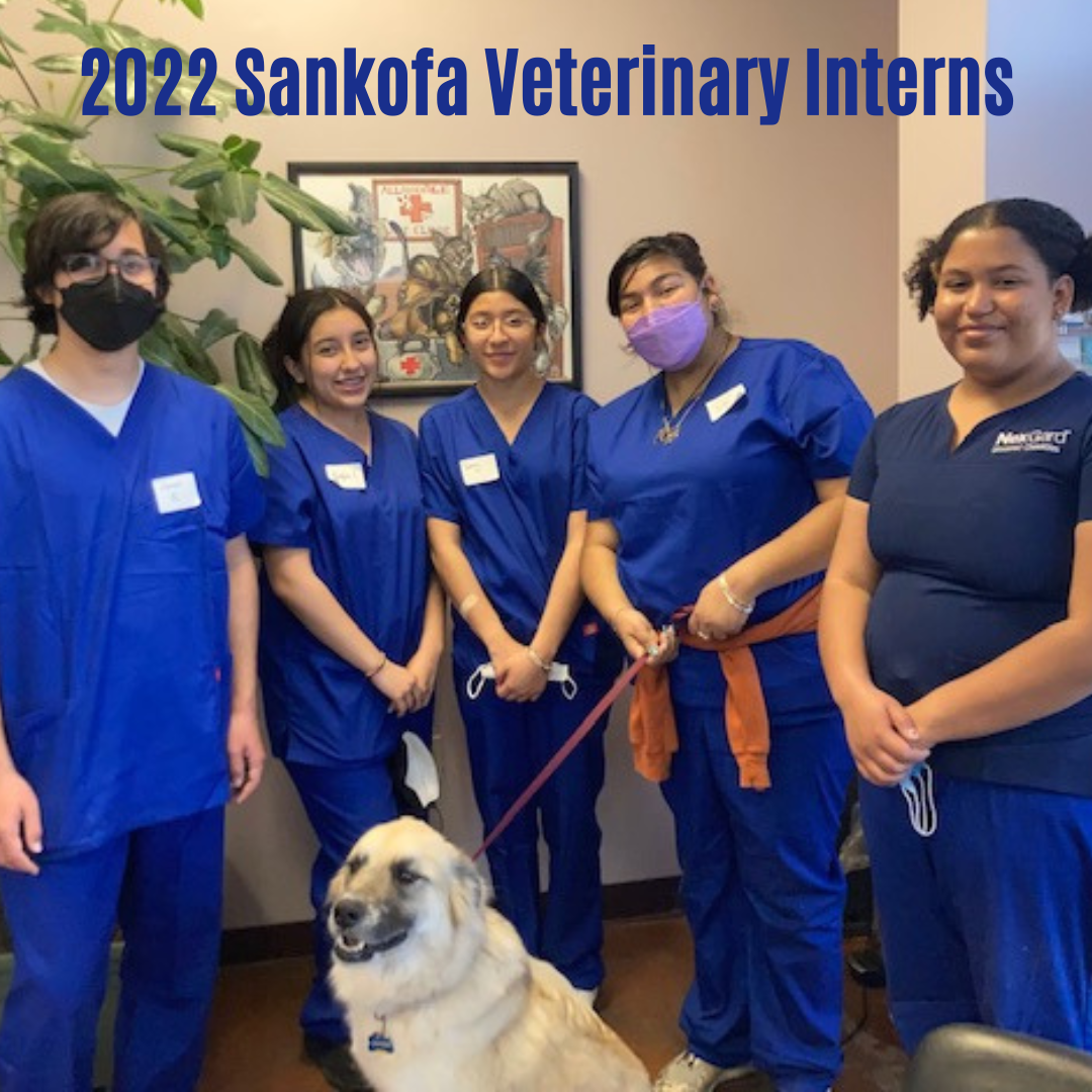 Sankofa Veterinary Project